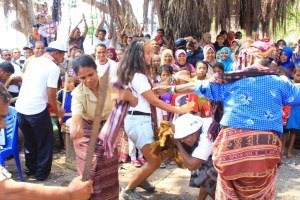 I was given a traditional woven from Alor around my neck as a symbol that I had to join the traditional dance.