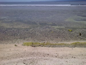 Tanjung Setia Beach