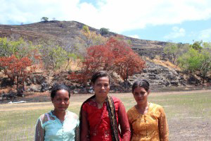 Waienga Bay Ladies
