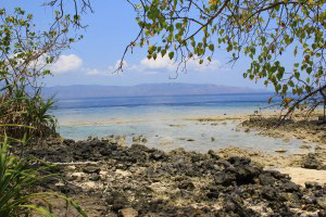 The scenery from Kepa Island