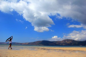 Waienga Bay’s Nature