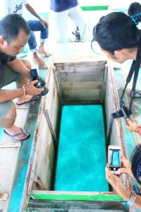 Glass bottom boat