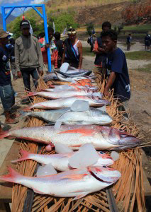 Fishing Competition