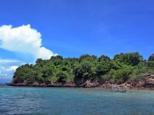 The Tiga Island