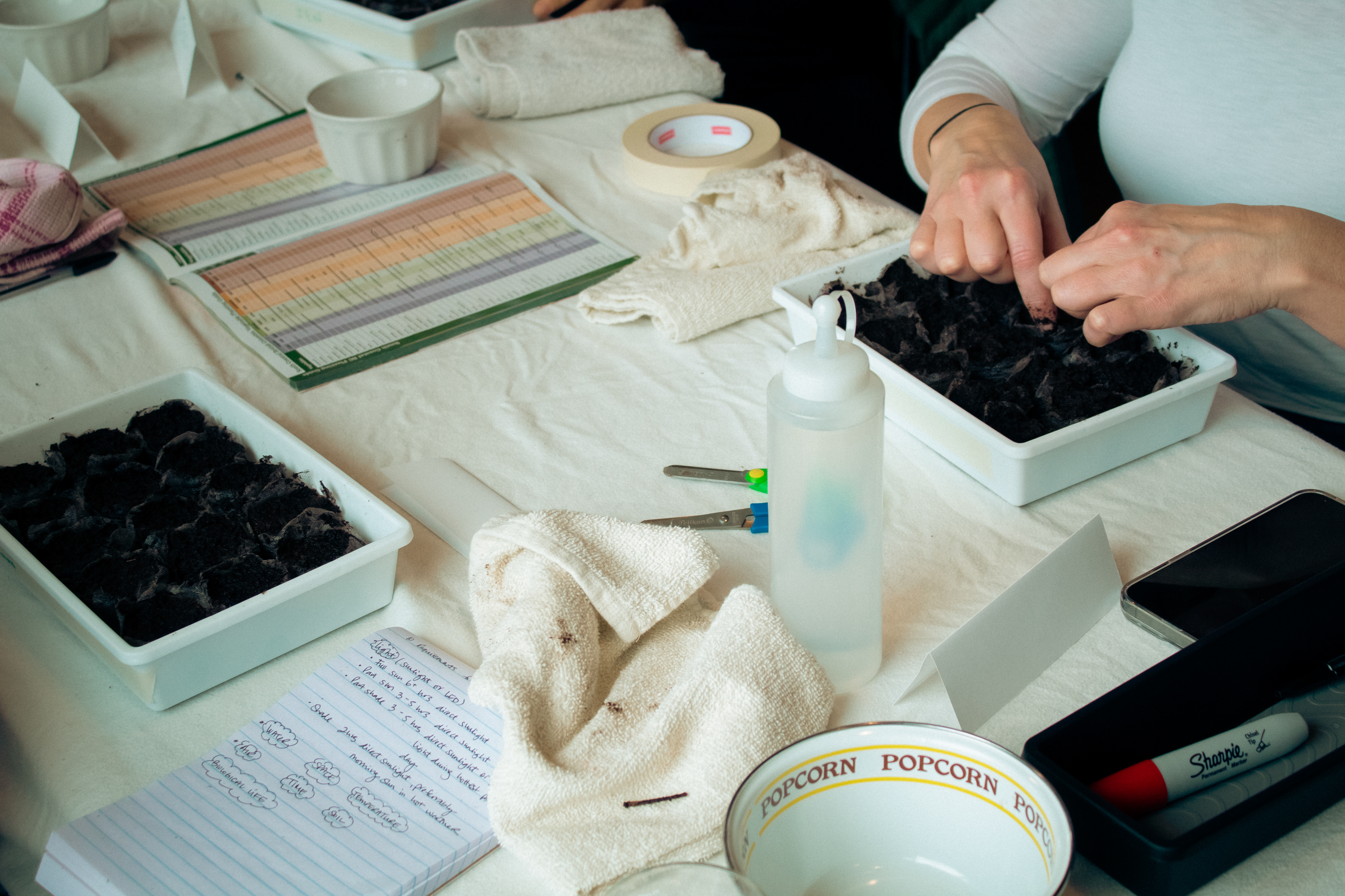 Activity #1: Indoor sow