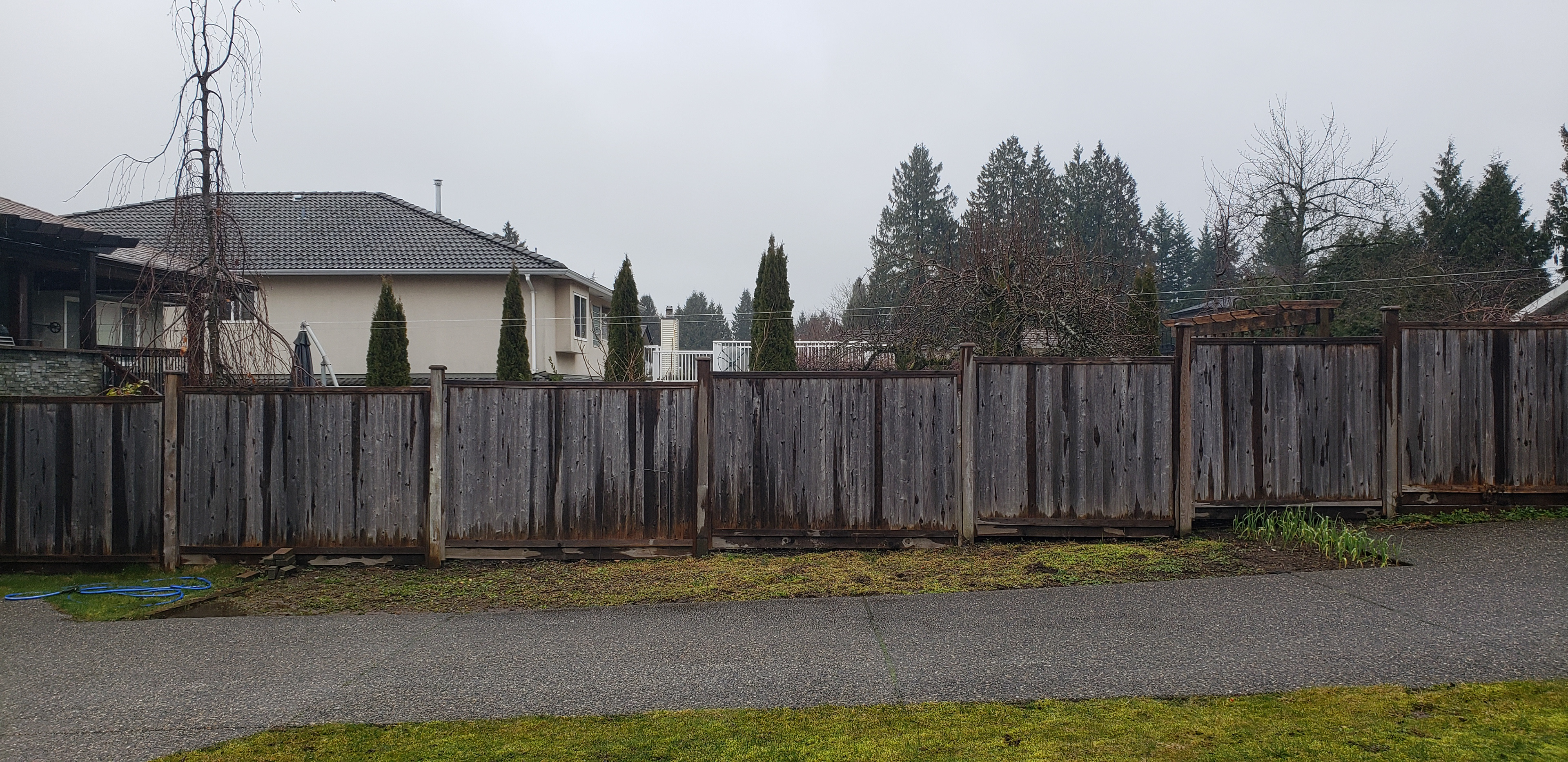First Garden 2020 - Before