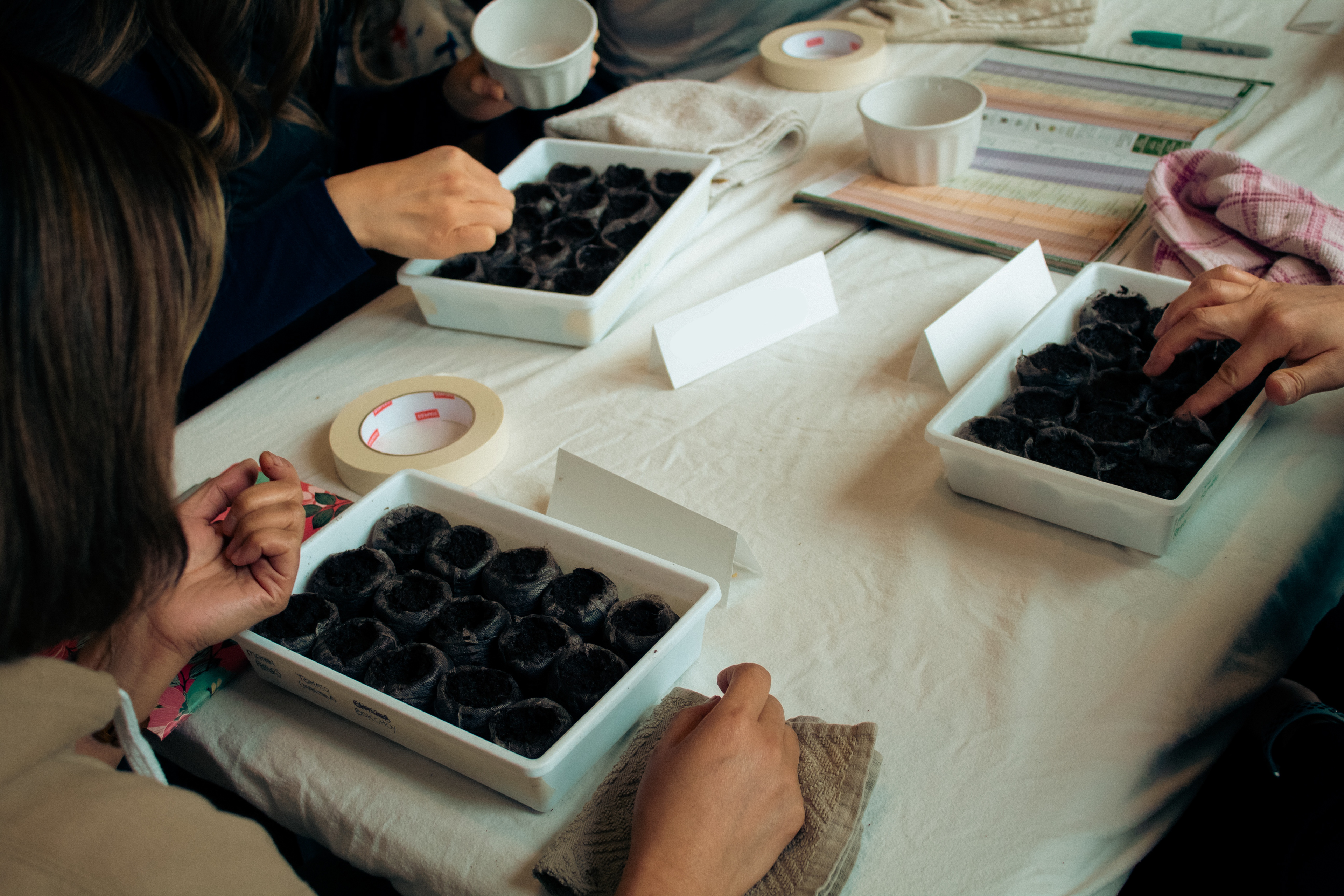 Activity #1: Indoor sow