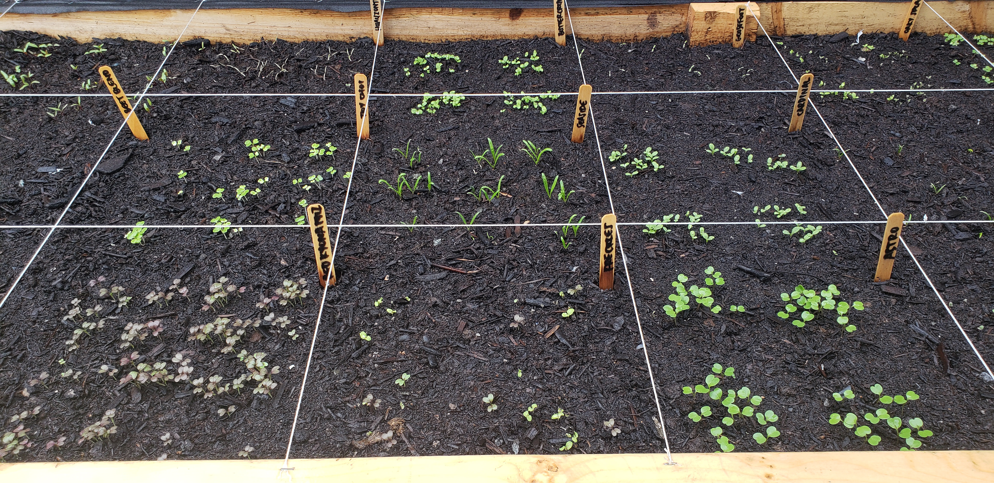 Square foot gardening.