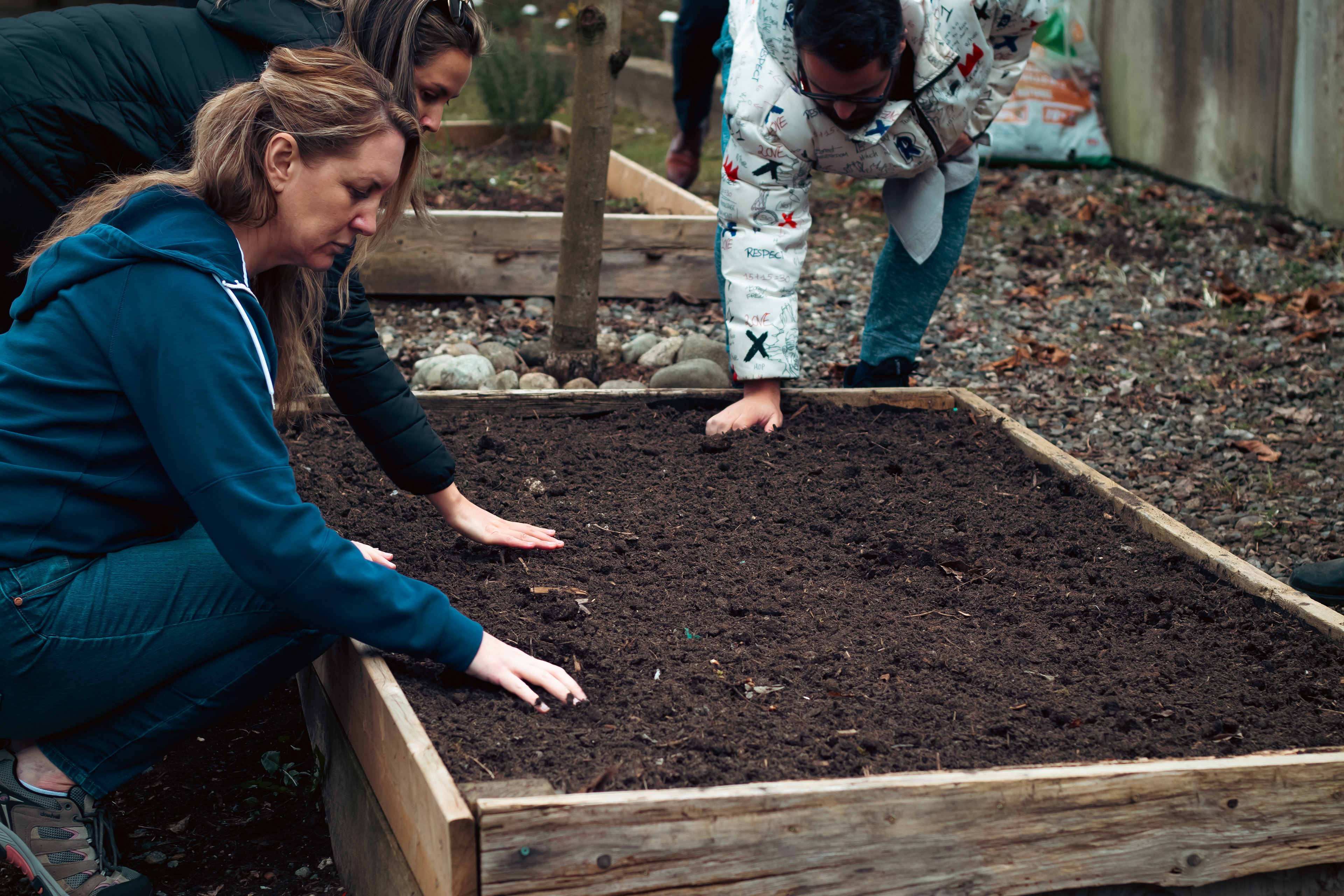 Garden assessment: soil quality