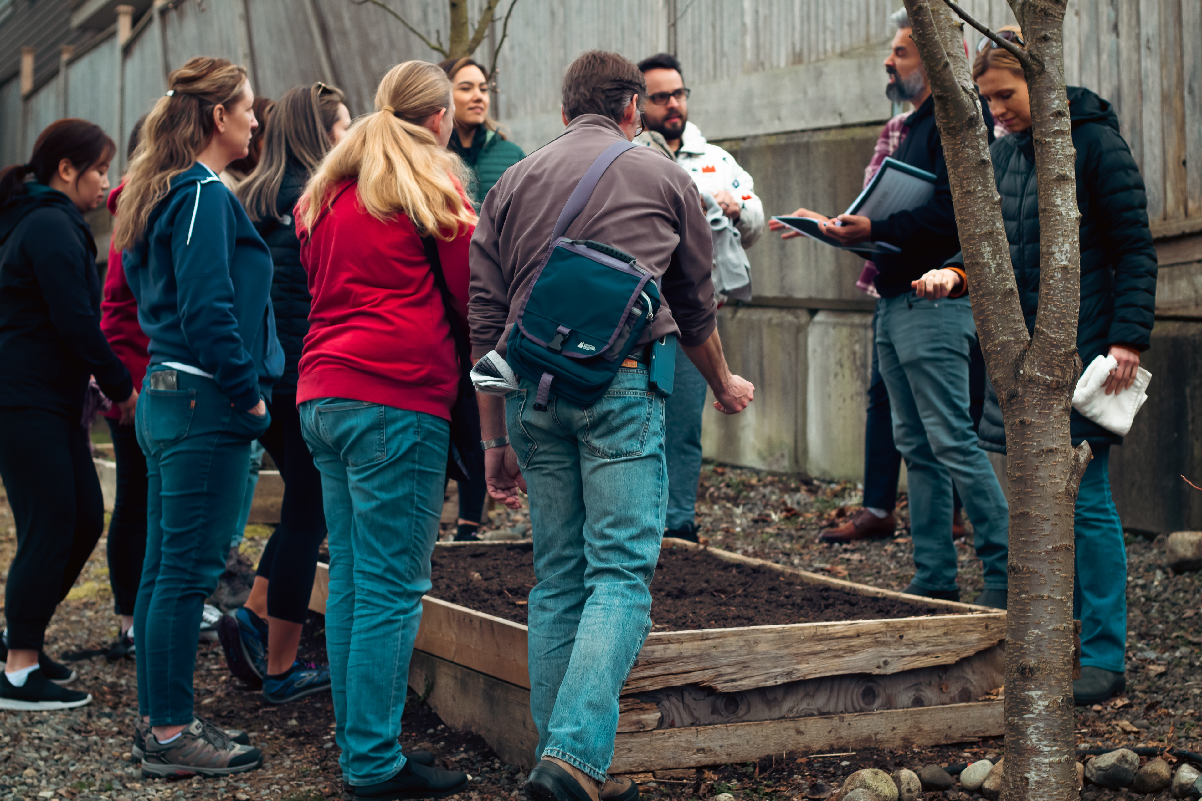 Garden assessment: soil quality