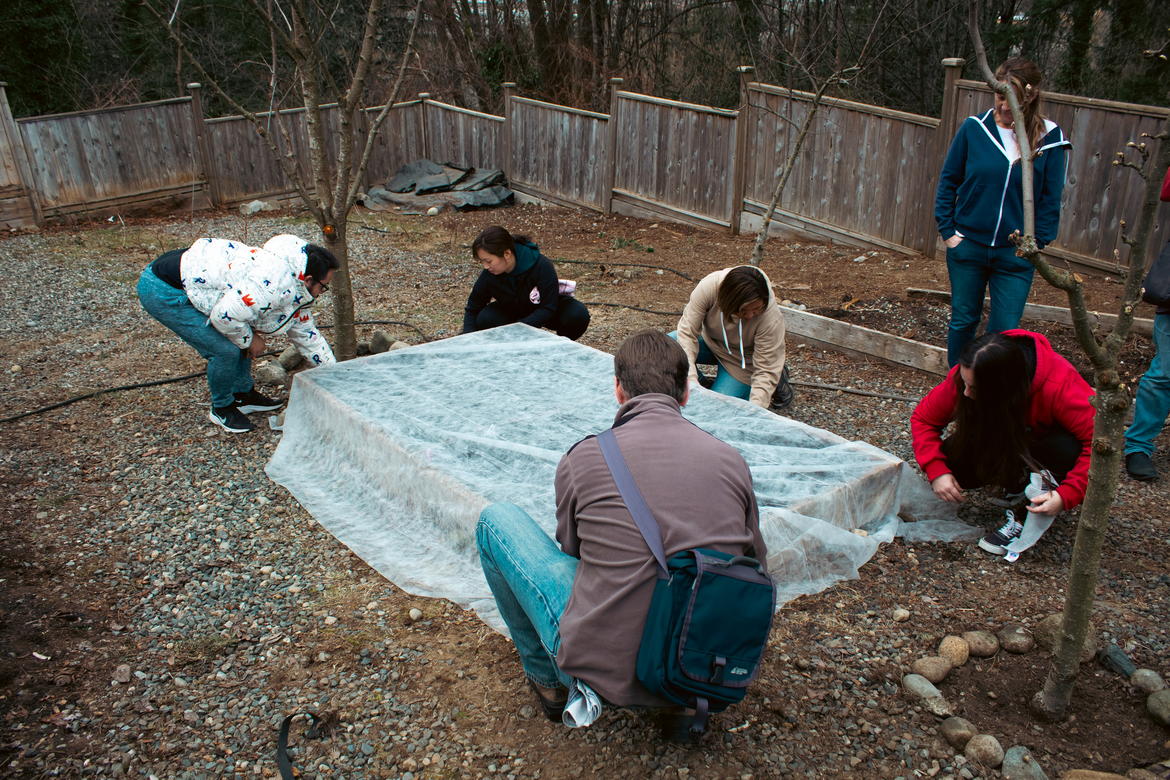 Protect the seeds from birds