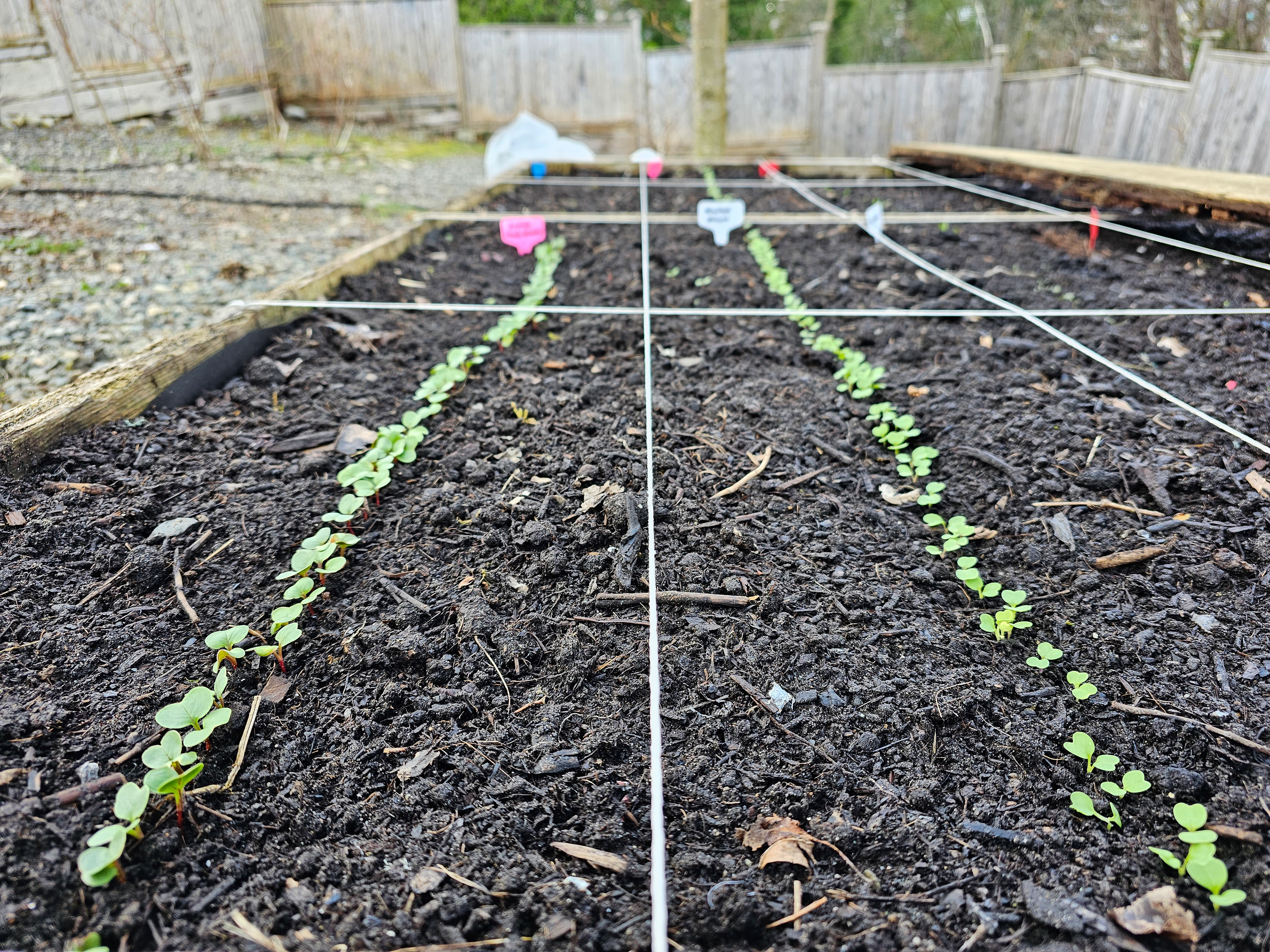 Success! Two weeks later
