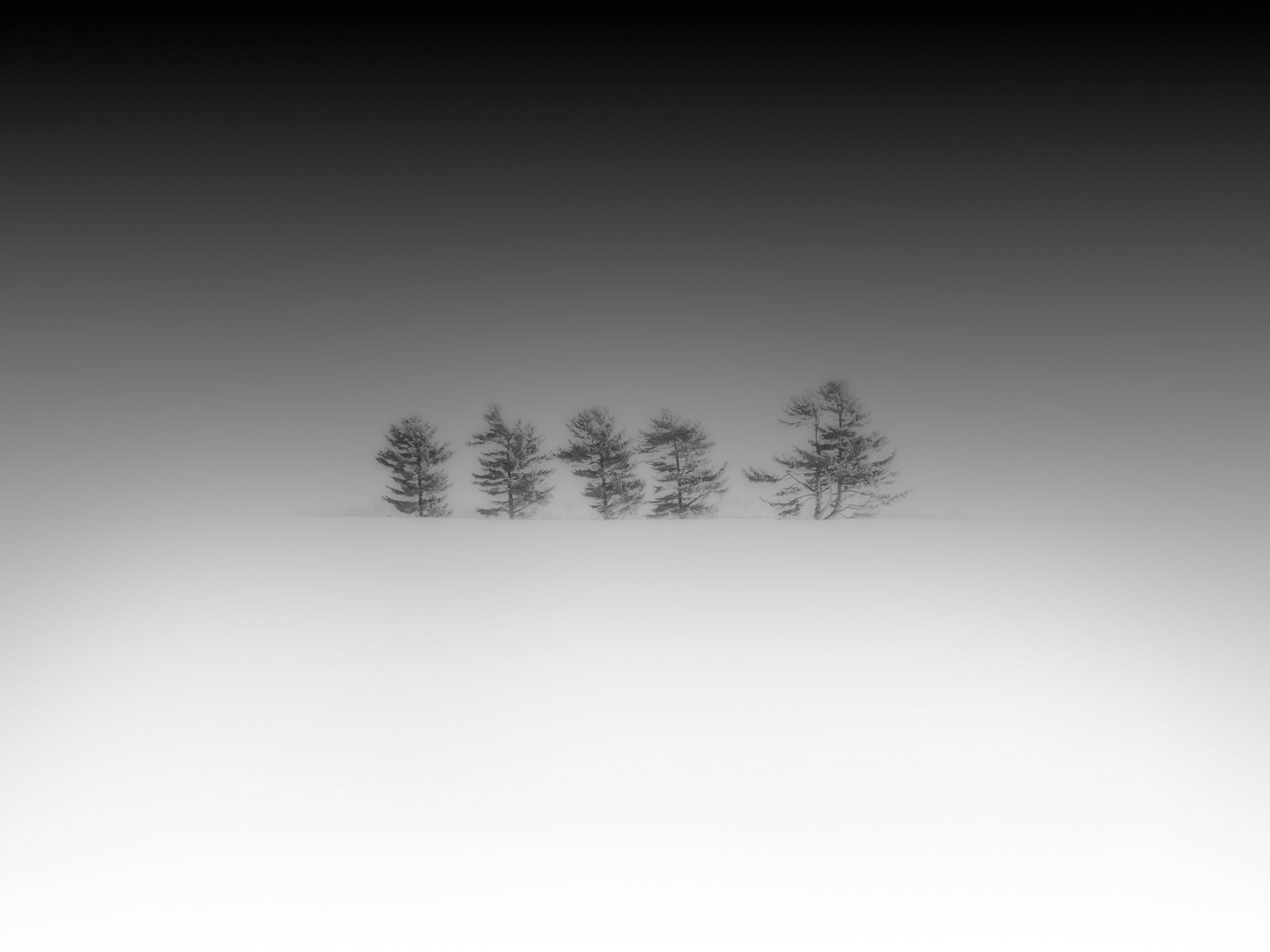 Scène d'hiver