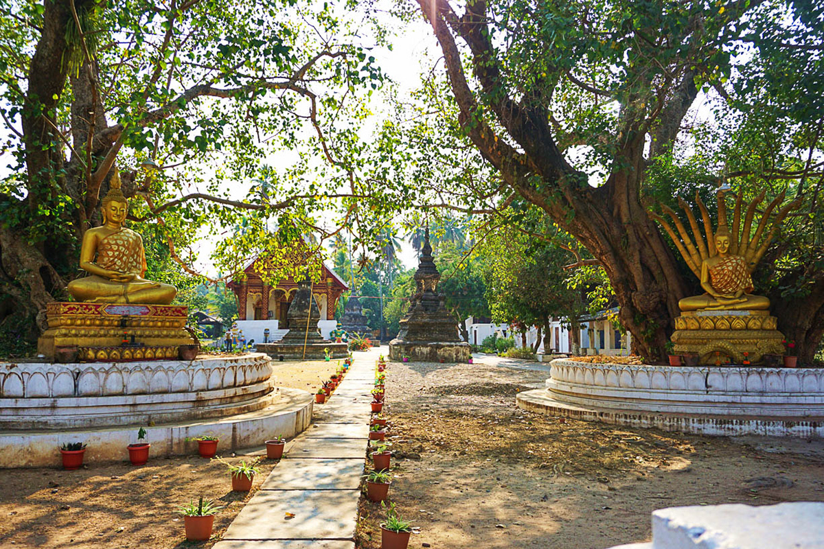 Le chemin des gardiens - Laos