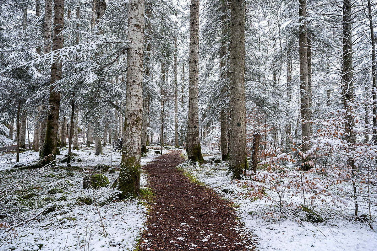 Un pas après l’autre - Saint-Lary