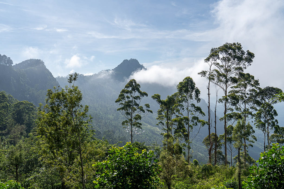 Le voile du temps - Sri Lanka