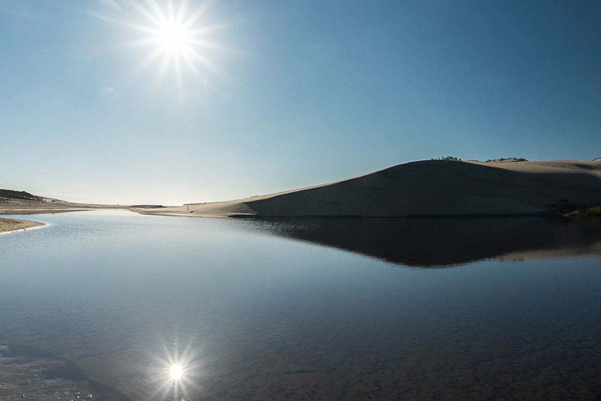 Le miroir du silence - Landes