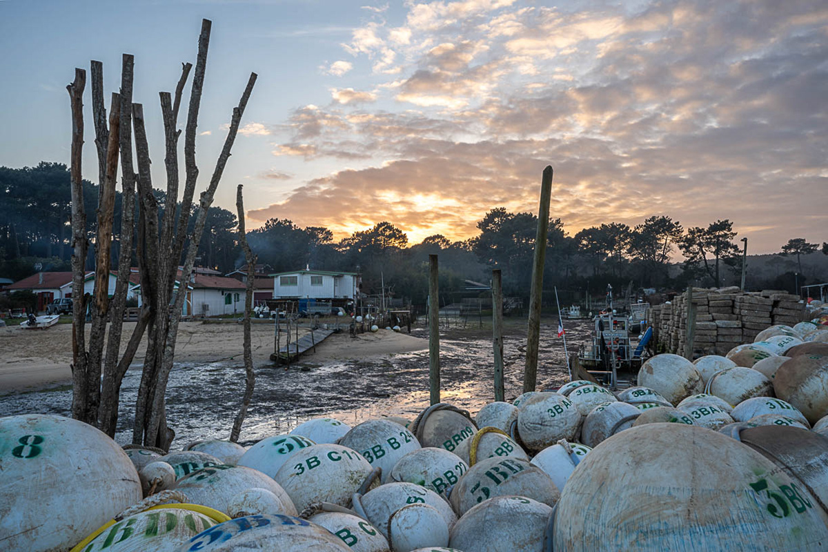 Le repos des amarres - Bassin d'Arcachon