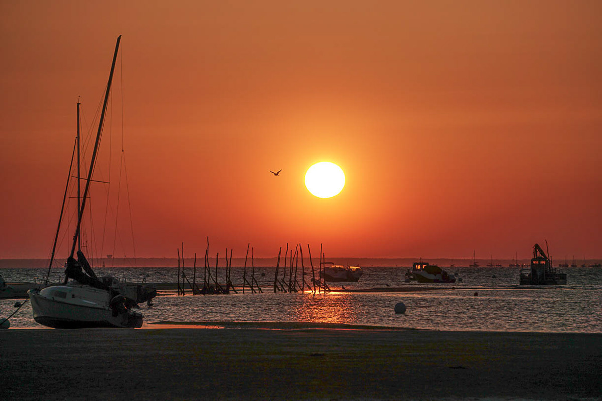 Le Cœur du Monde - Cap Ferret