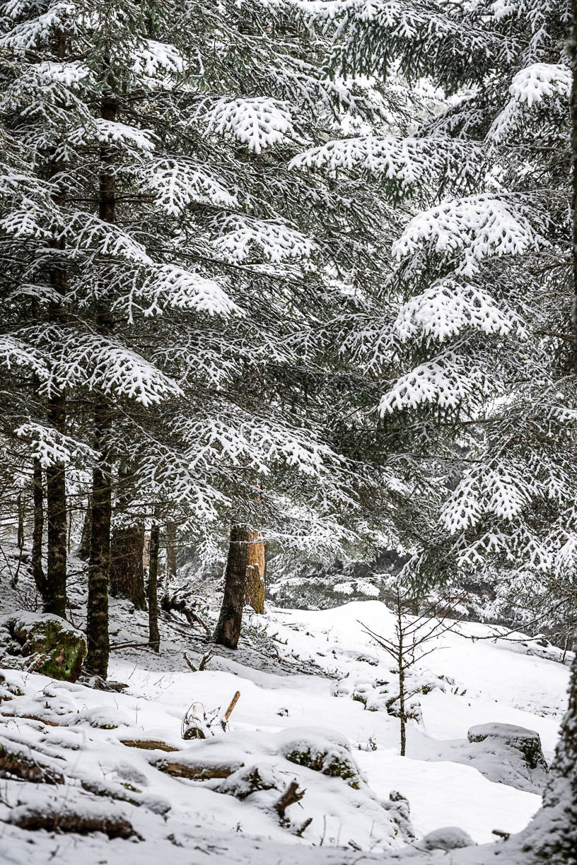 La force de la résilience - Saint-Lary