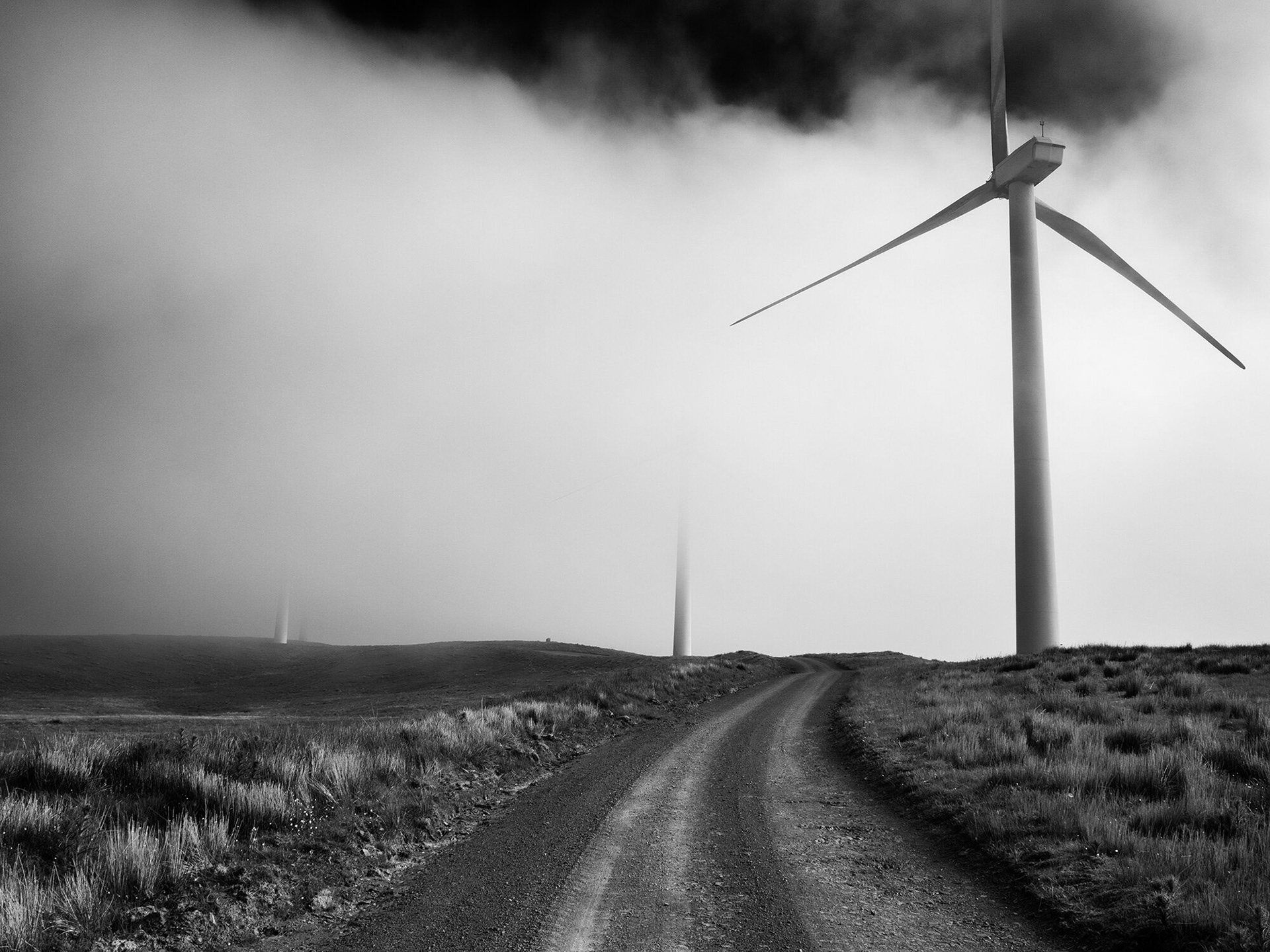 Wild farm in the Cambrian Mountains
