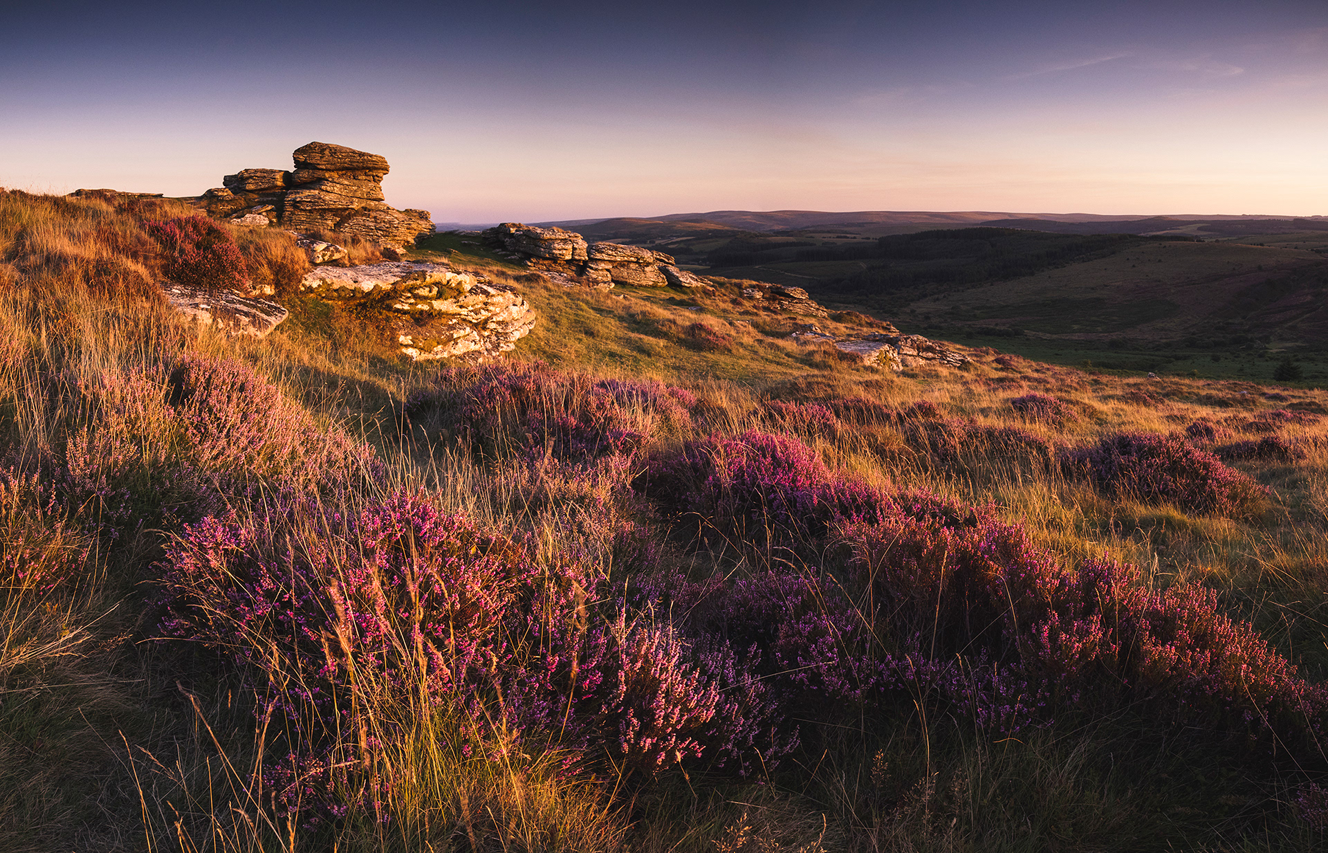 Sunset over Birch Tor surrounded by Heather