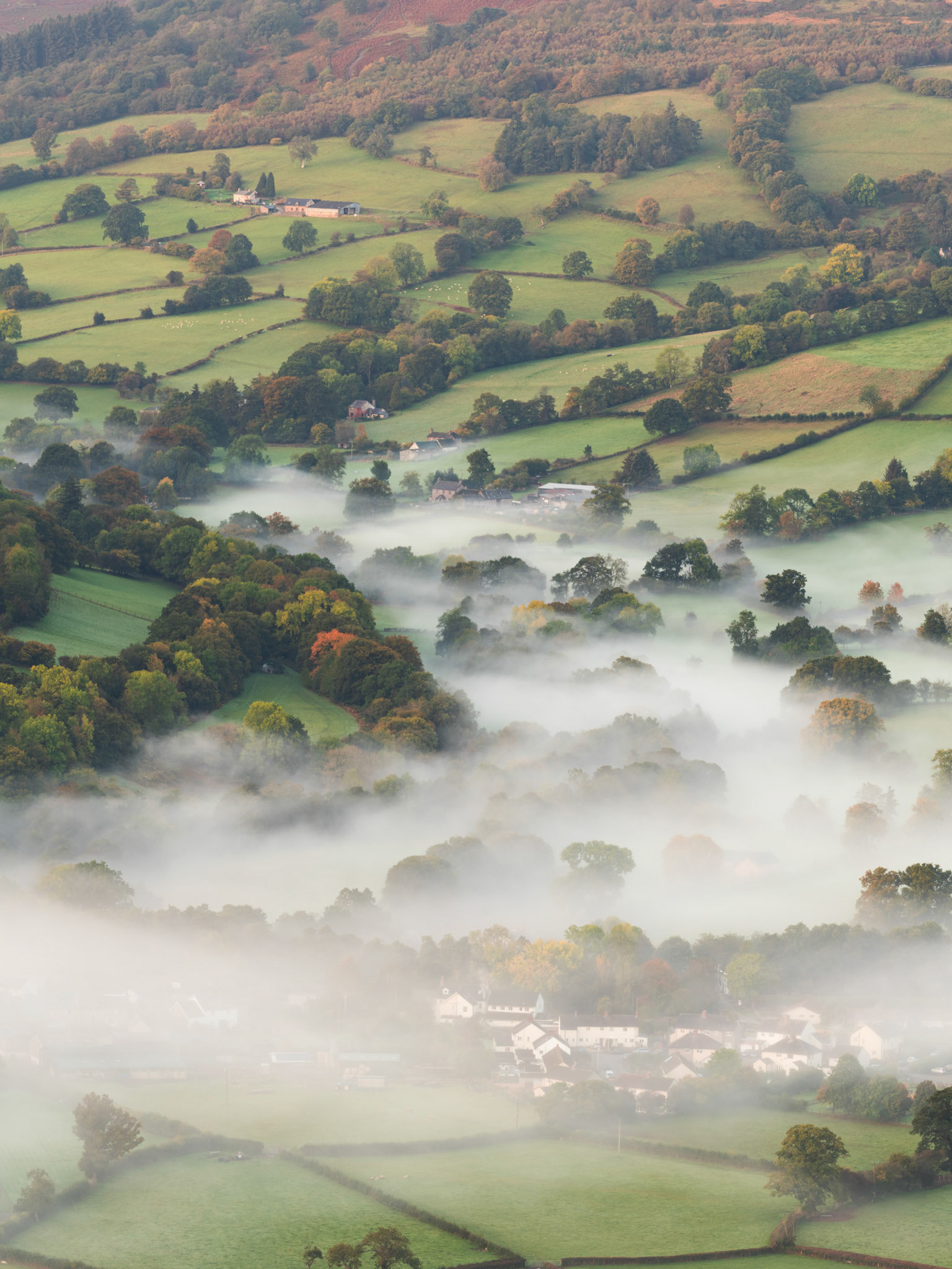 Valley Mist around Talybont-on-usk
