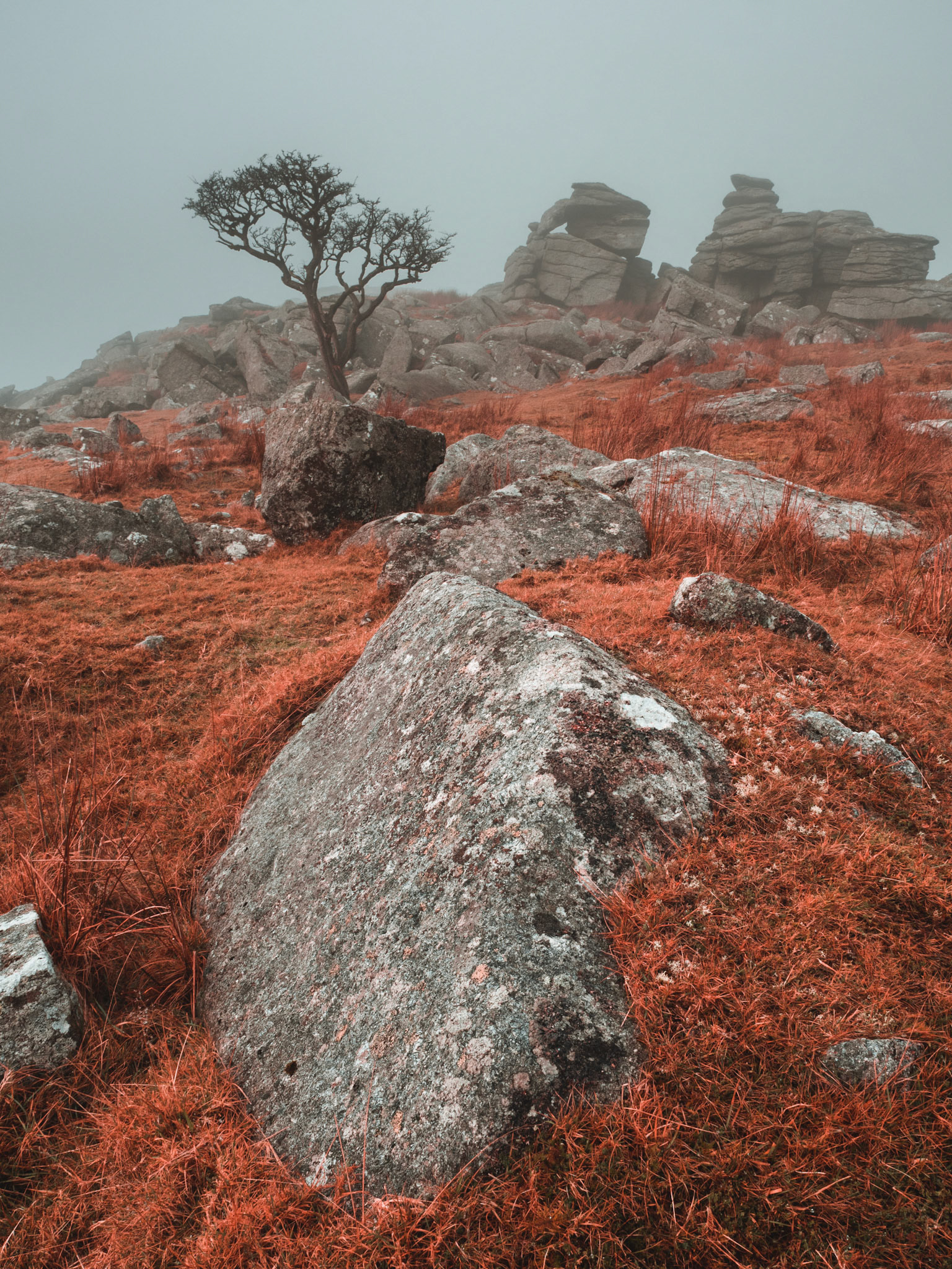 King's Tor