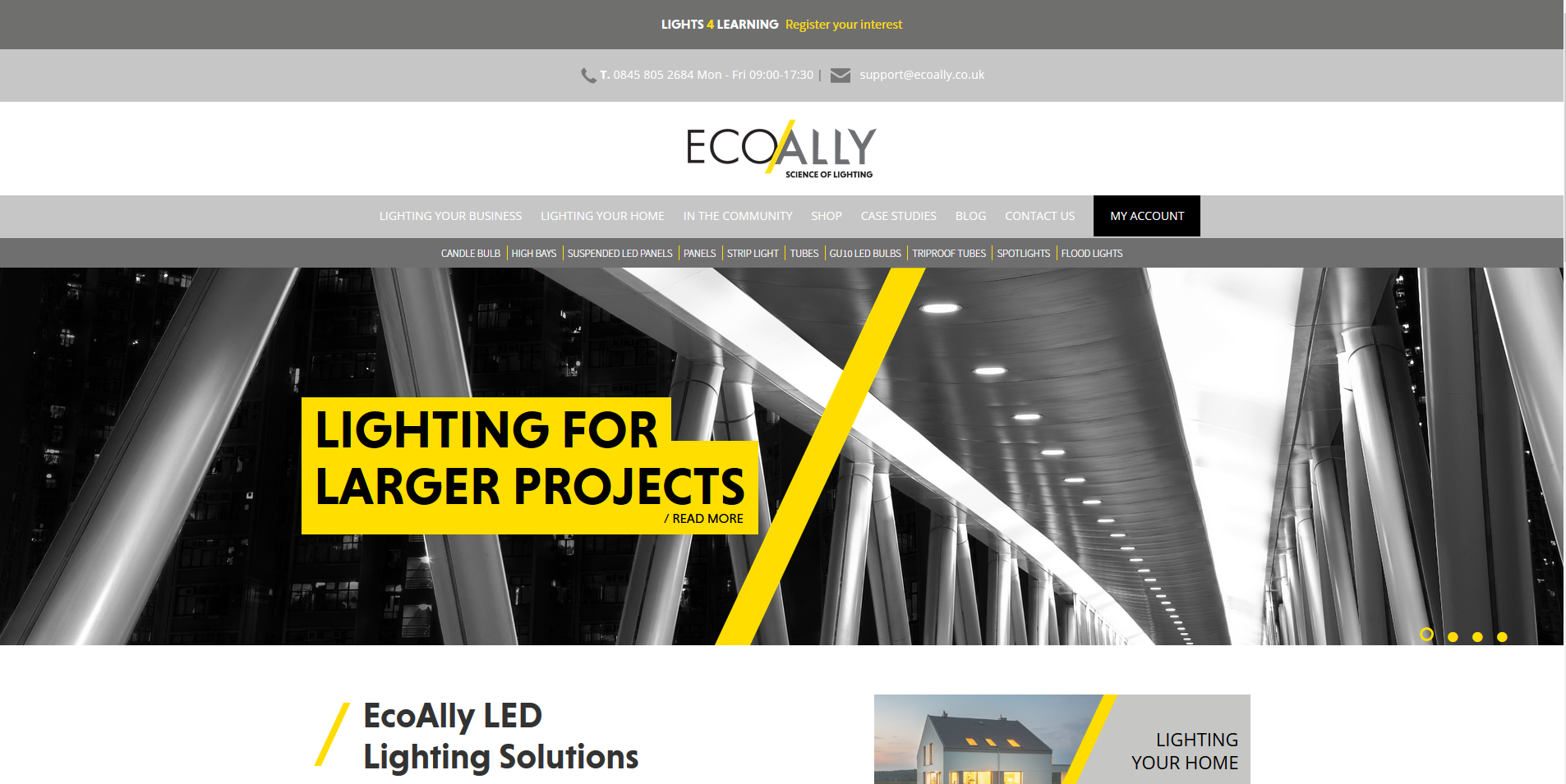 Ecoally website design