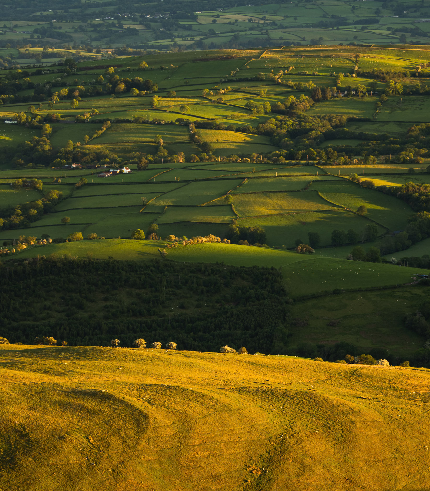 Mynydd y Llan at sunrise from  Waun Lefrith