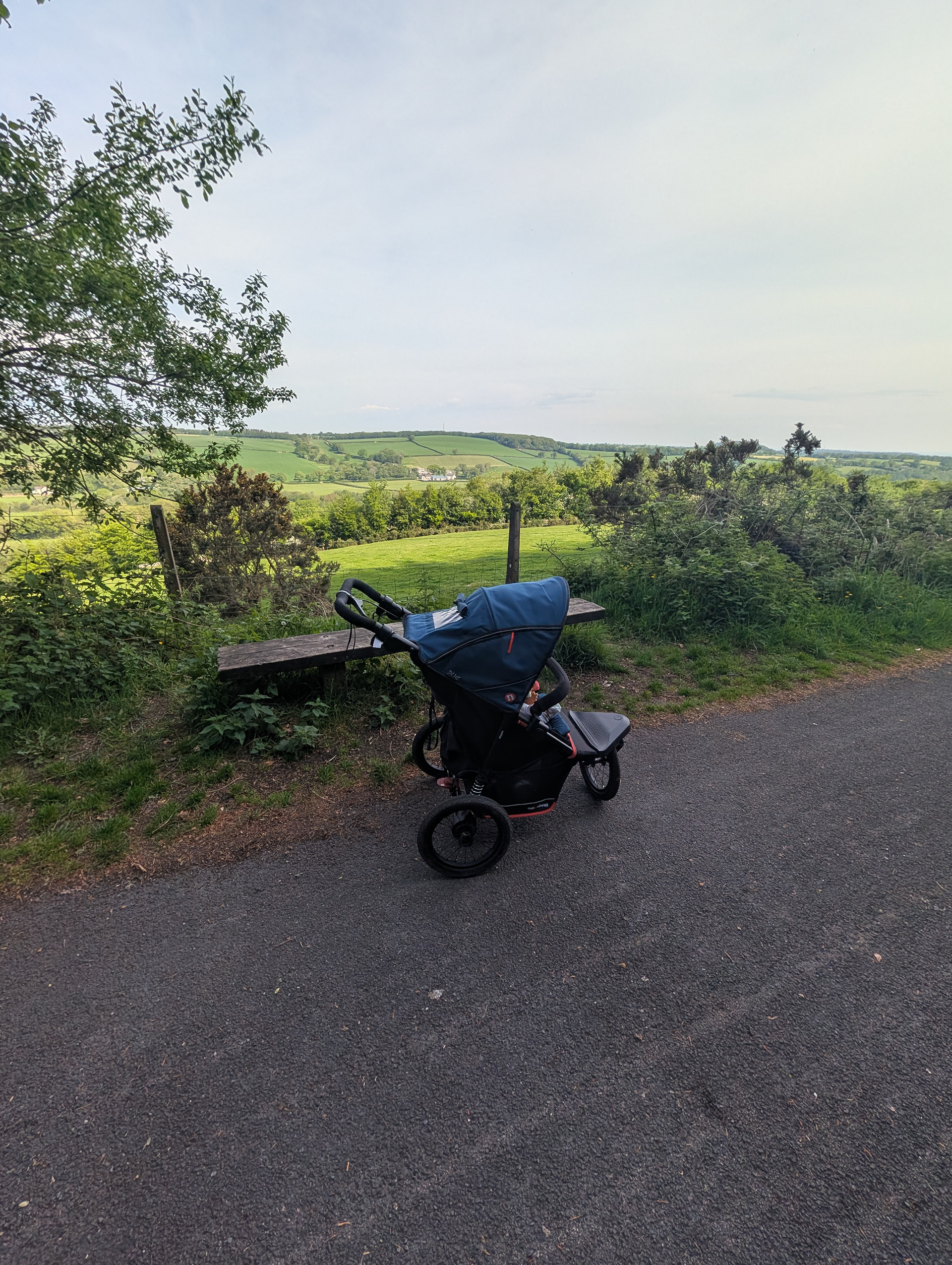 Out' N' About Nipper V6 pushchair for running