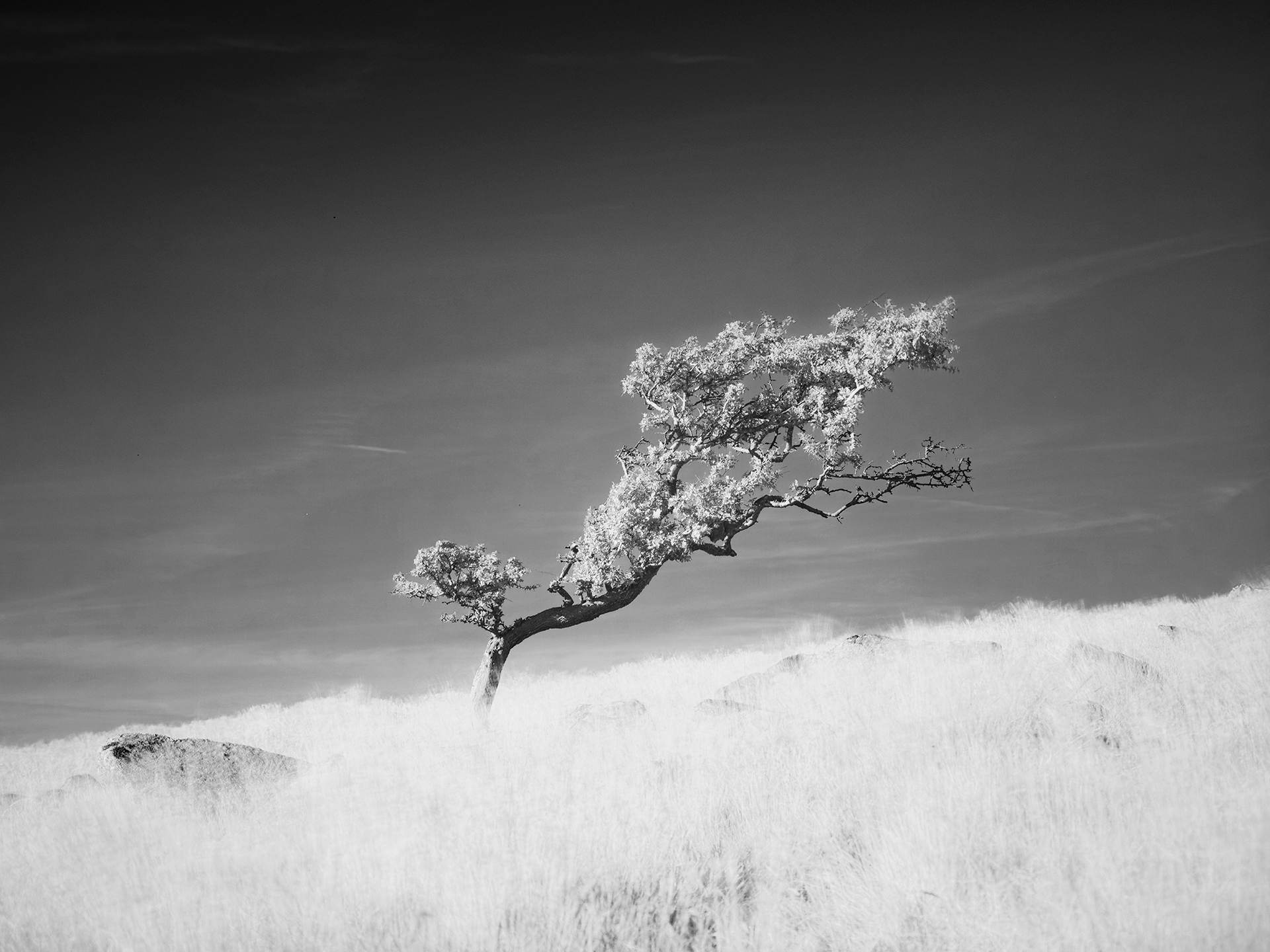 Infrared Photography on Dartmoor
