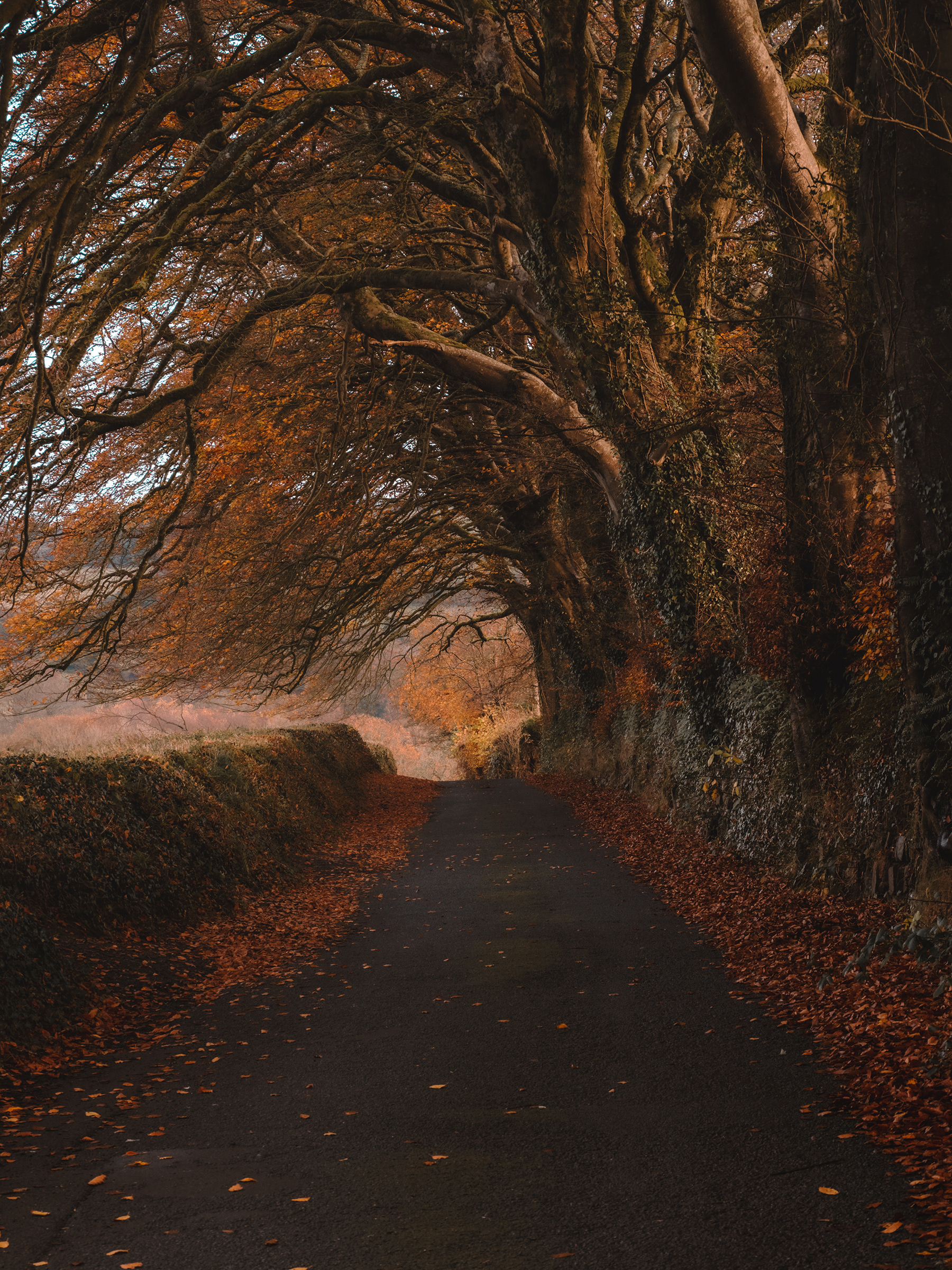 Okehampton – the gateway to Dartmoor