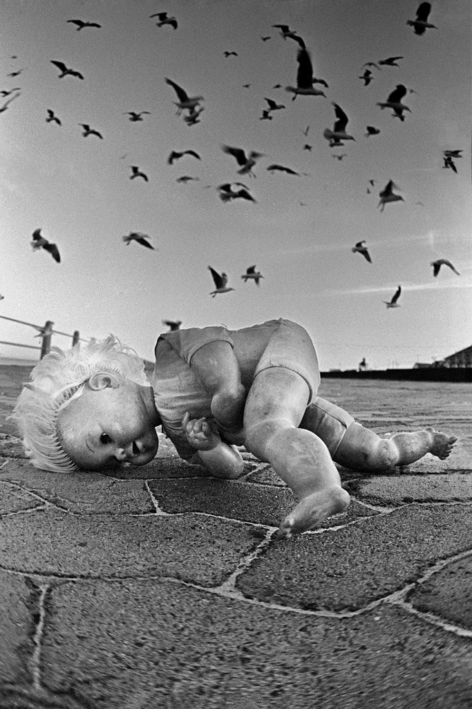 Lost doll and gulls, Sea Point