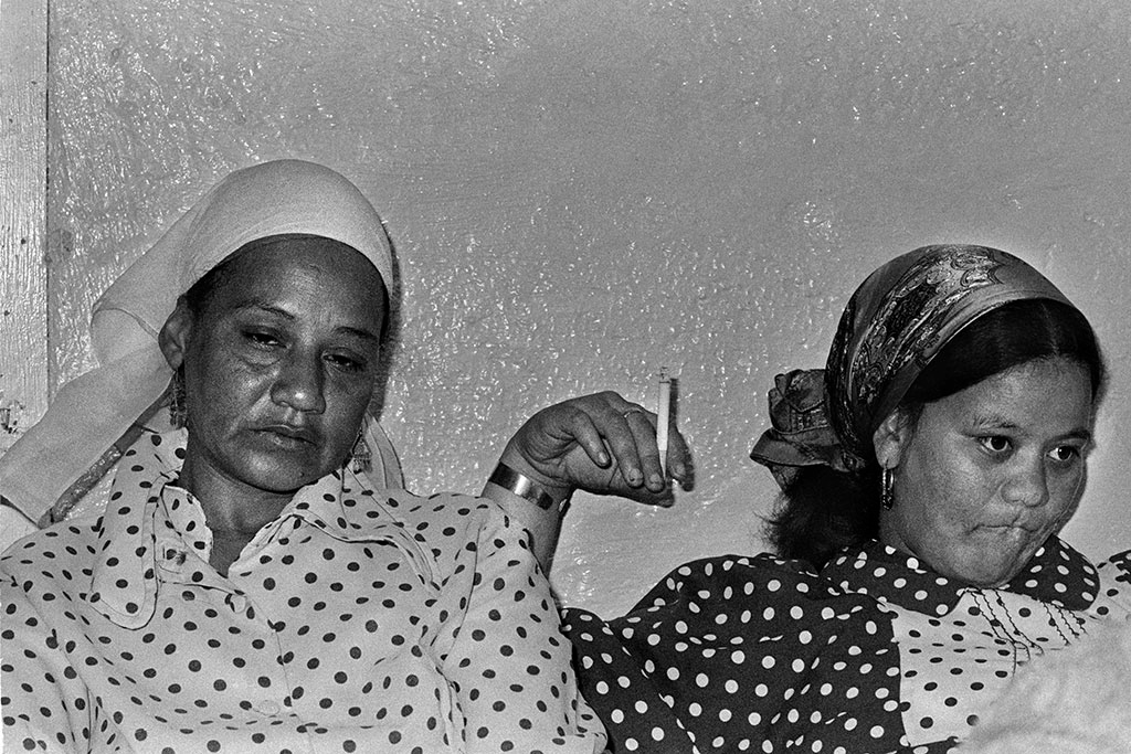 Cape Flats