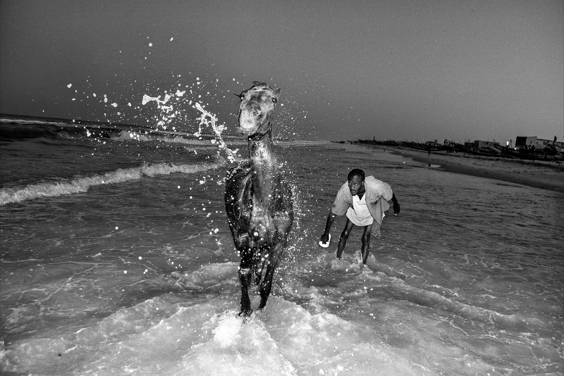Fish trader, St Louis, Senegal