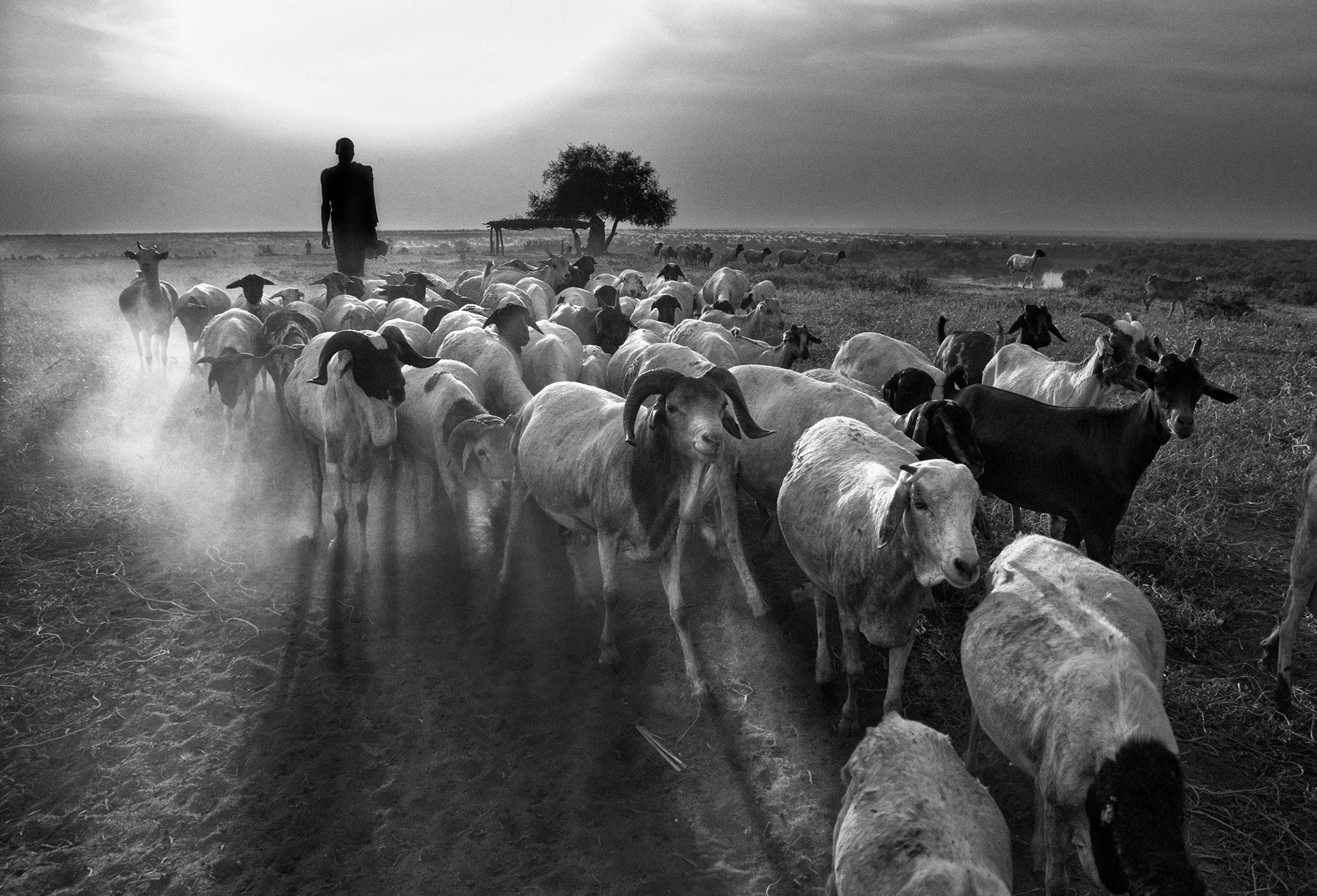 Omo Valley, ethiopia