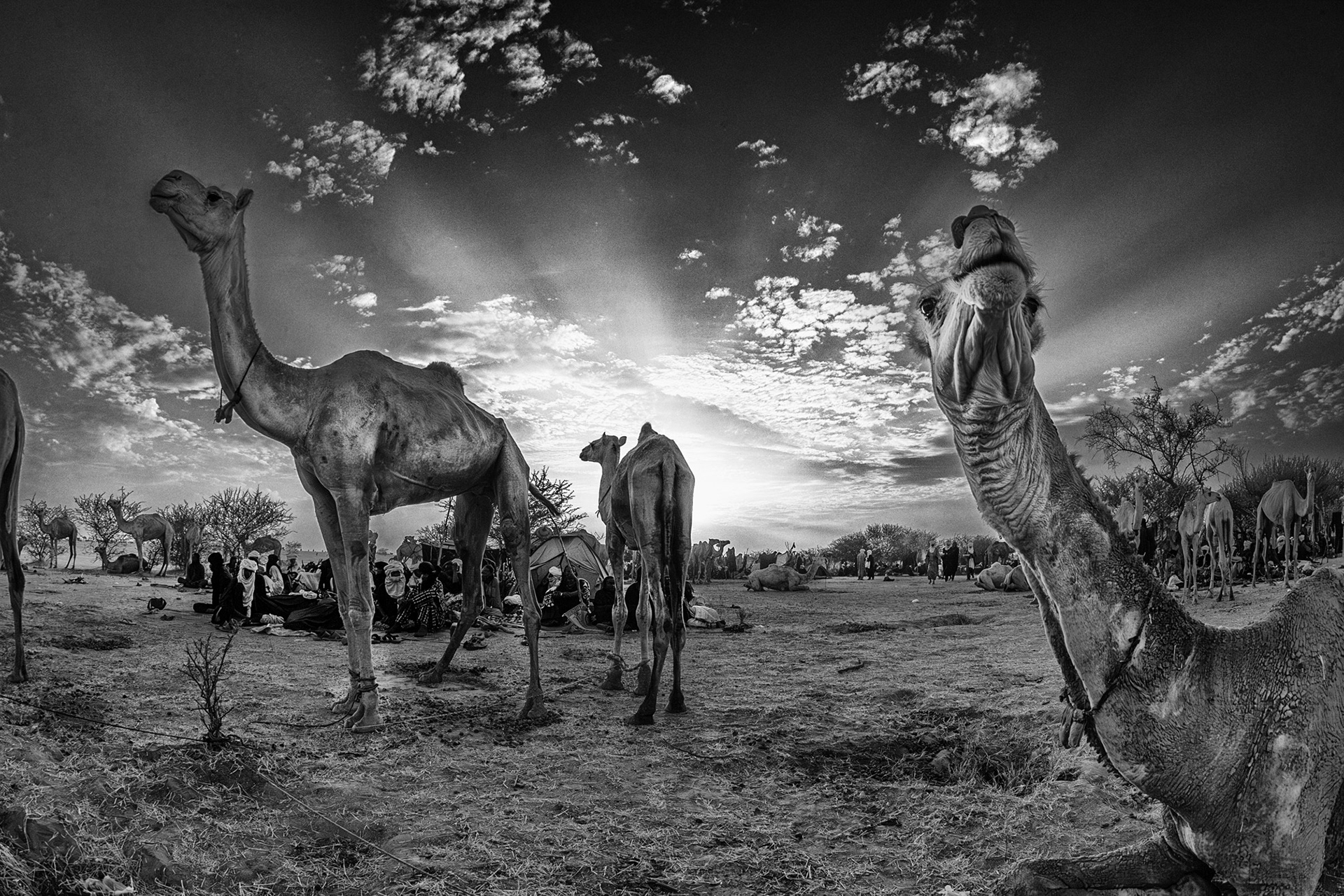Sunrise with the Wodaabe community, Sahara Desert, Niger