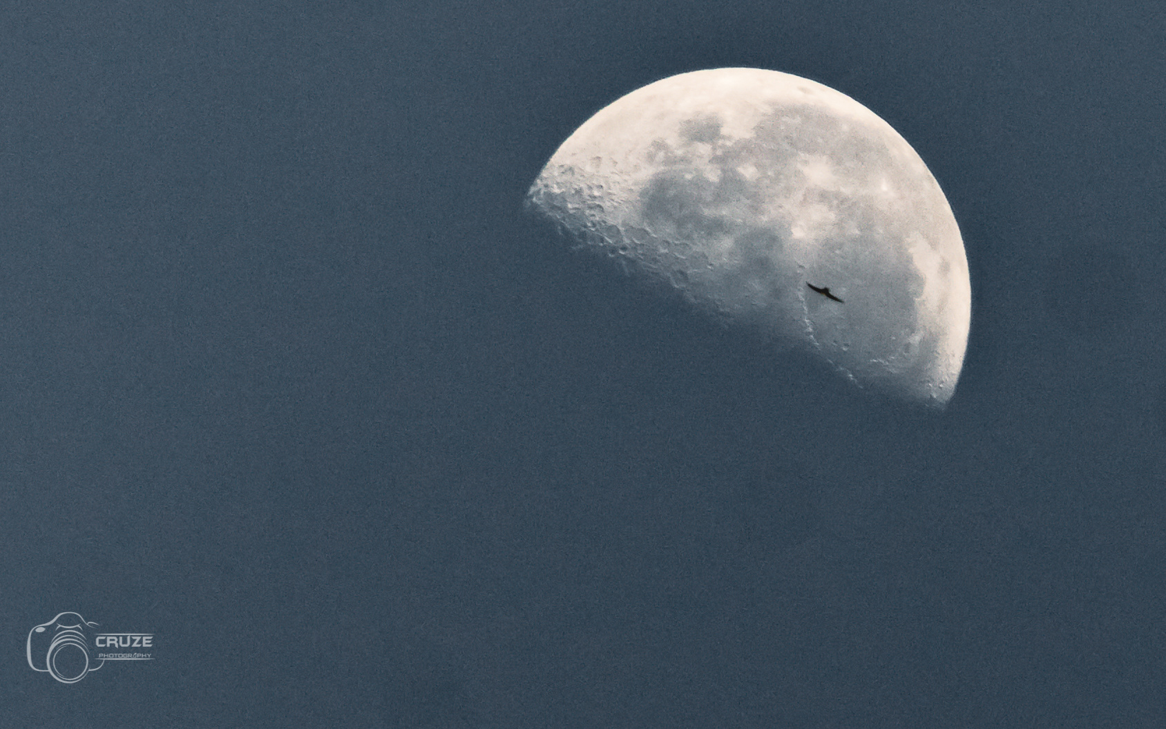 2021 Nikon D3200 Shot