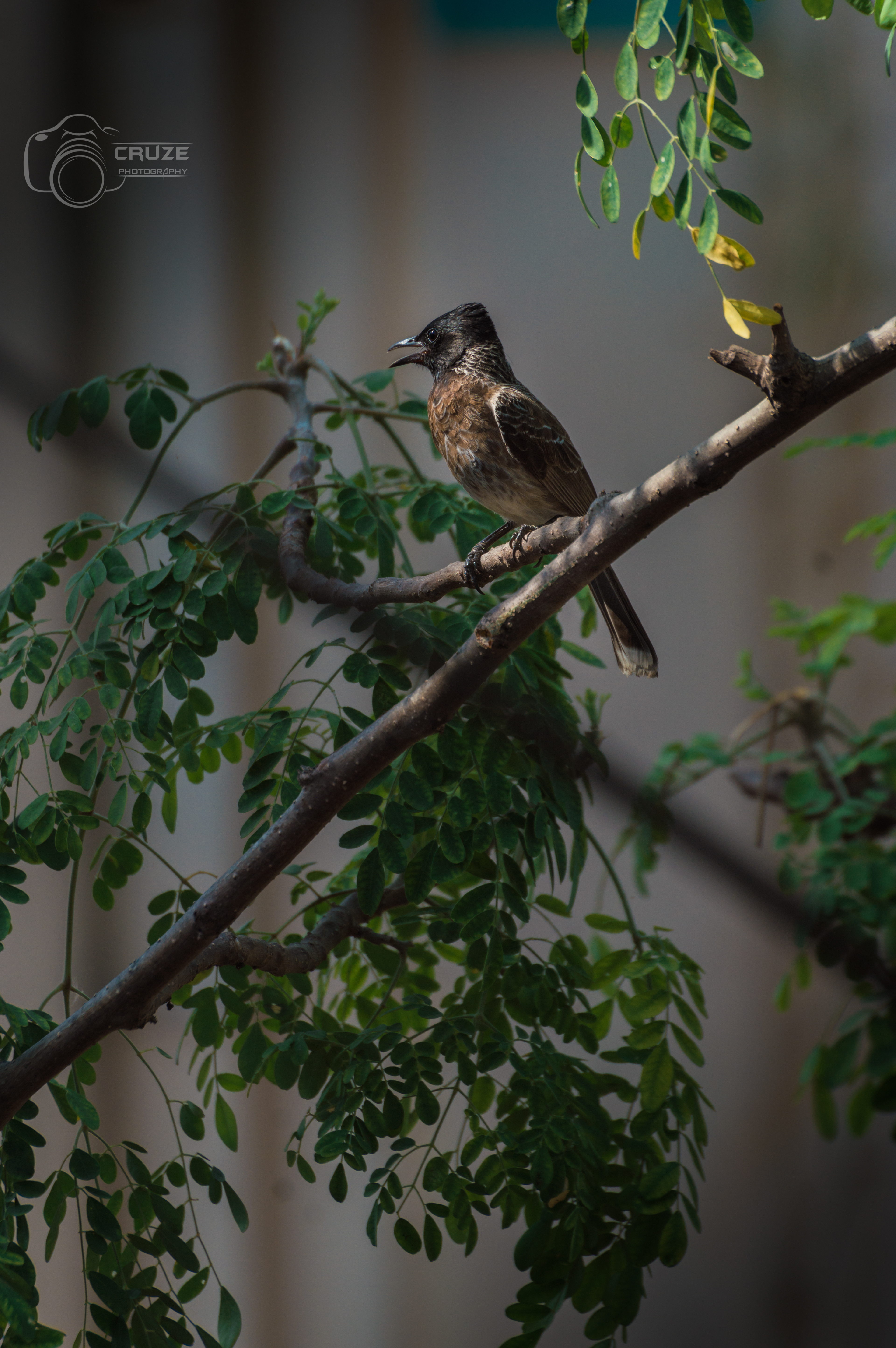 2022 Nikon D3200 Shot