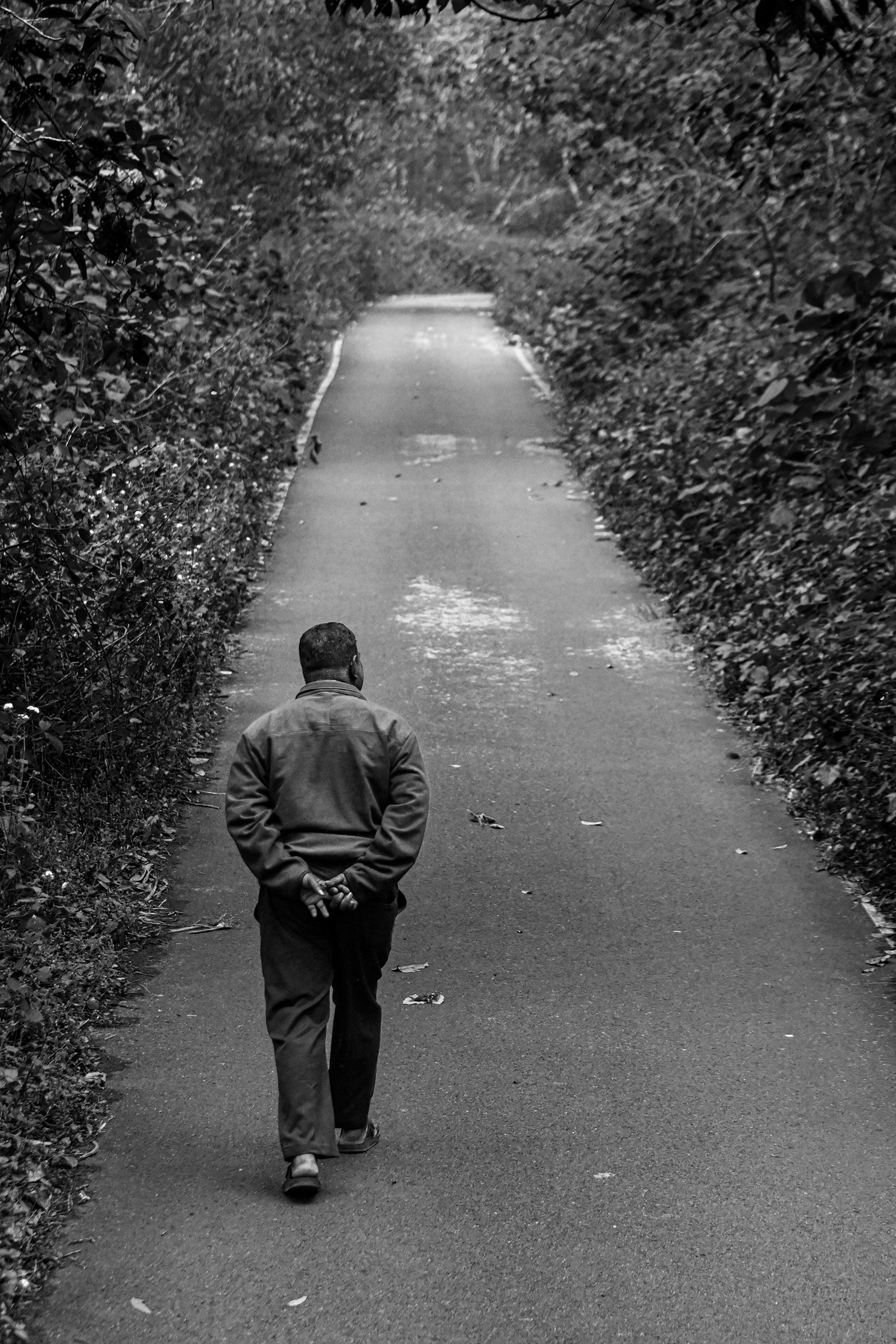walking on forest