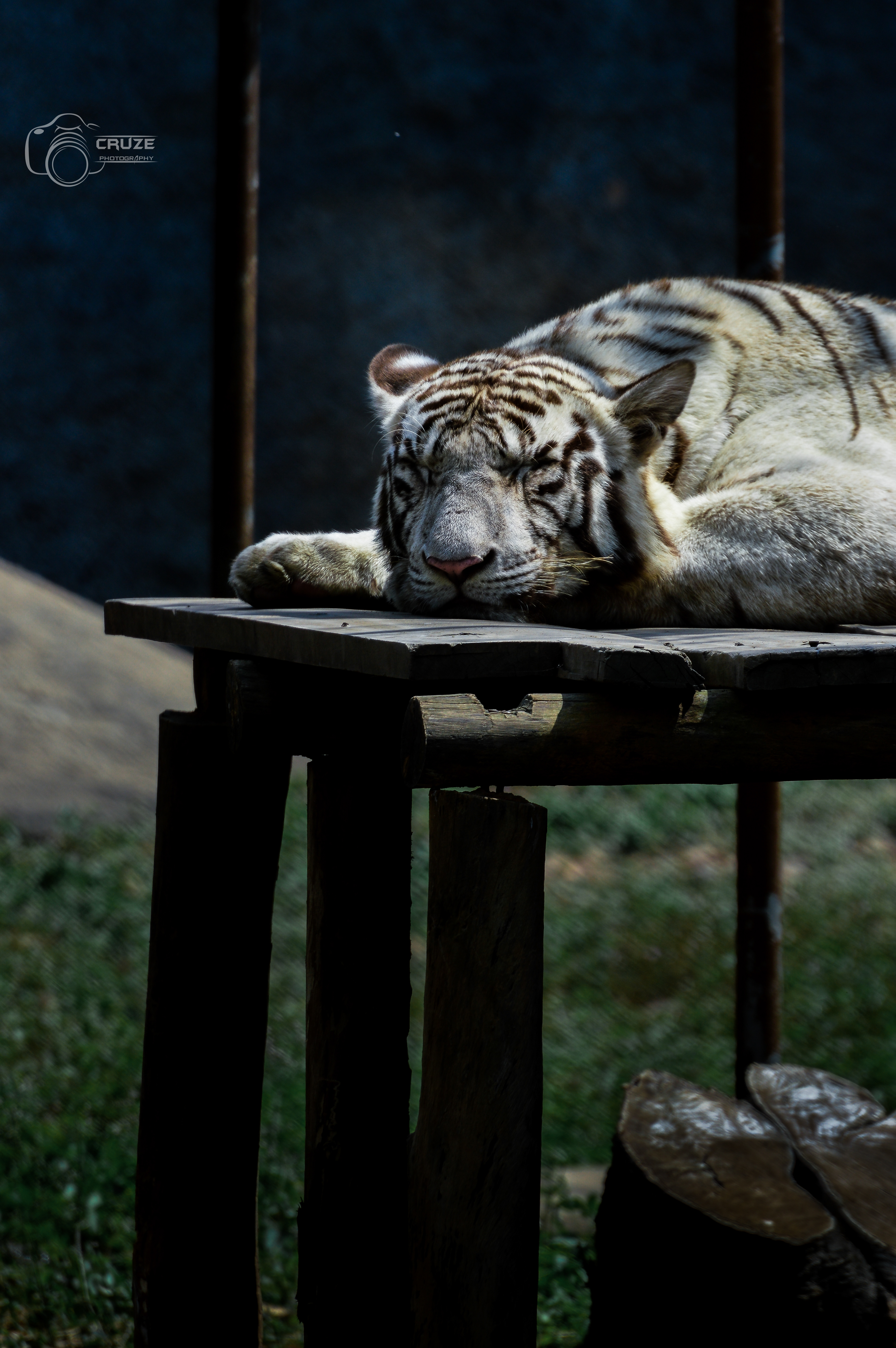 Vandalor zoo
