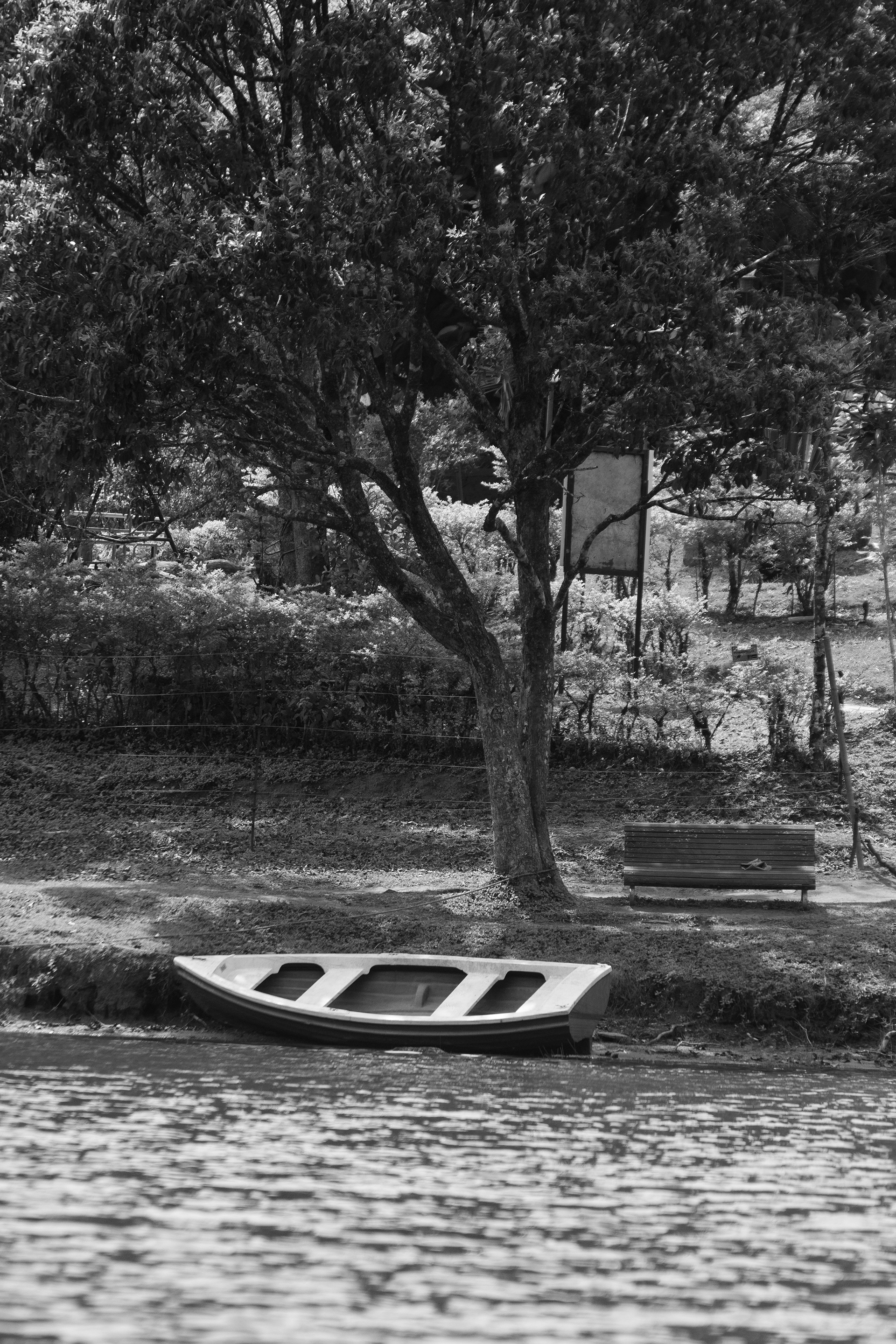 waiting for a man to sail