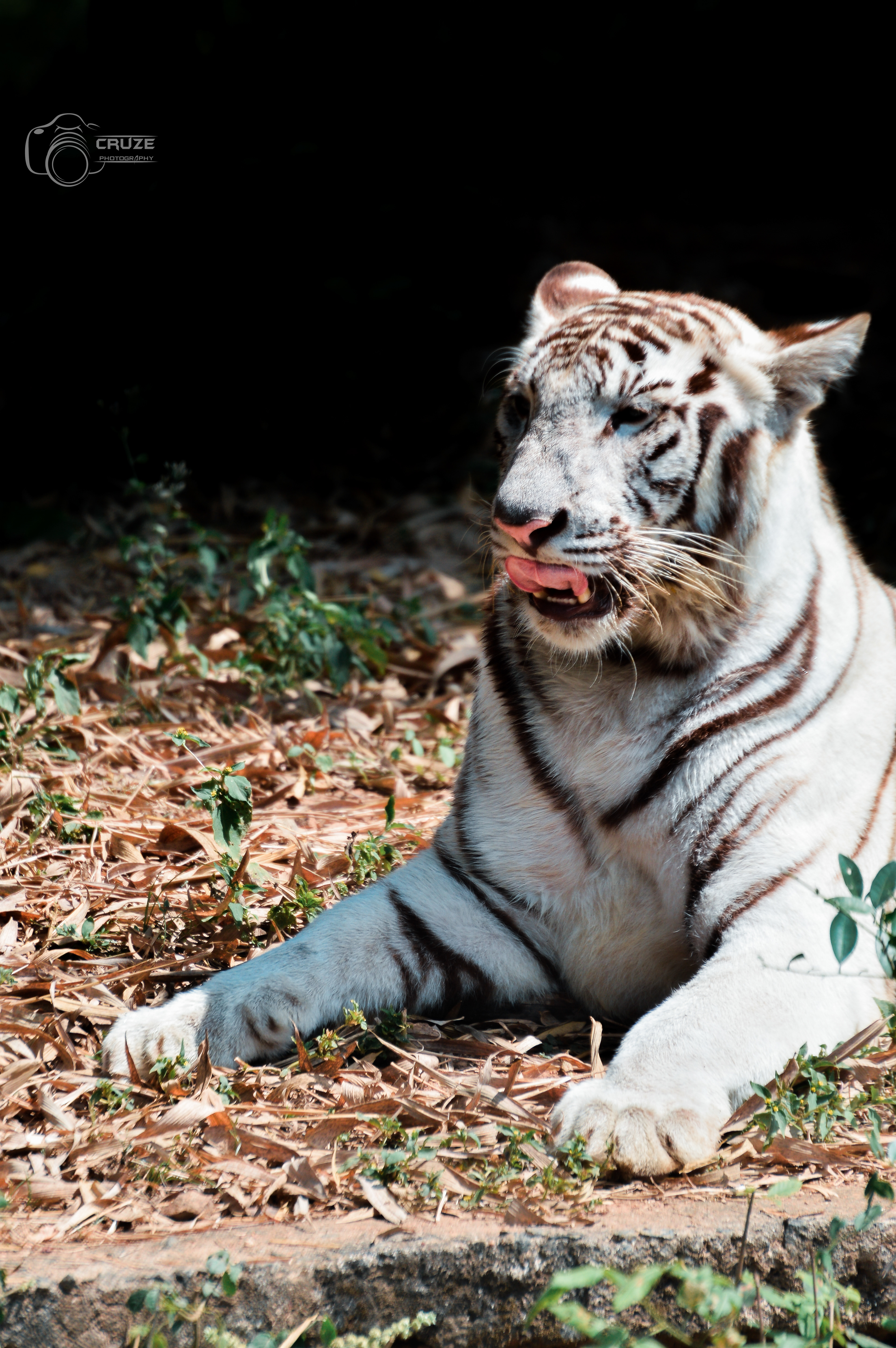 Vandalor zoo