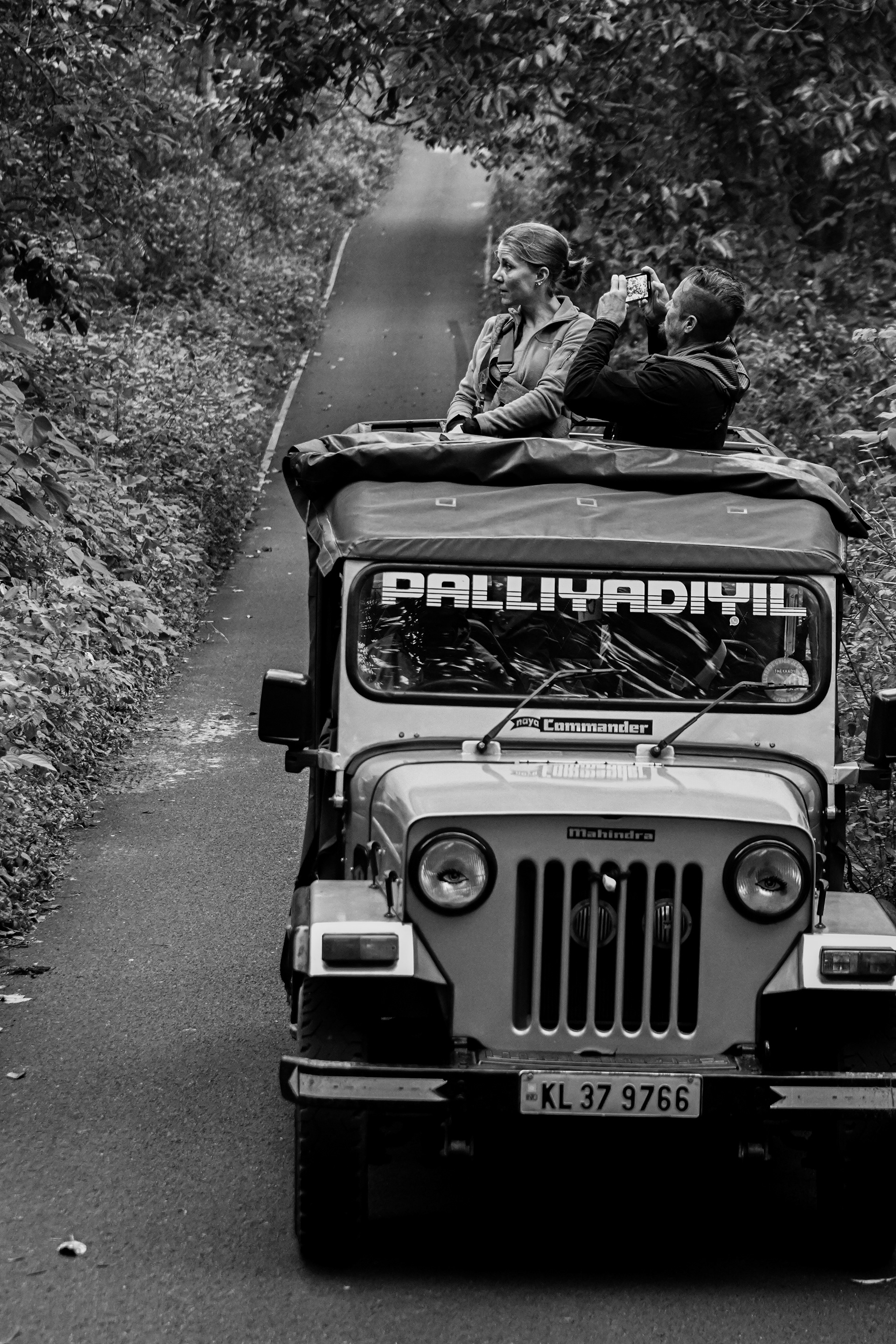 jeep ride into wildlife