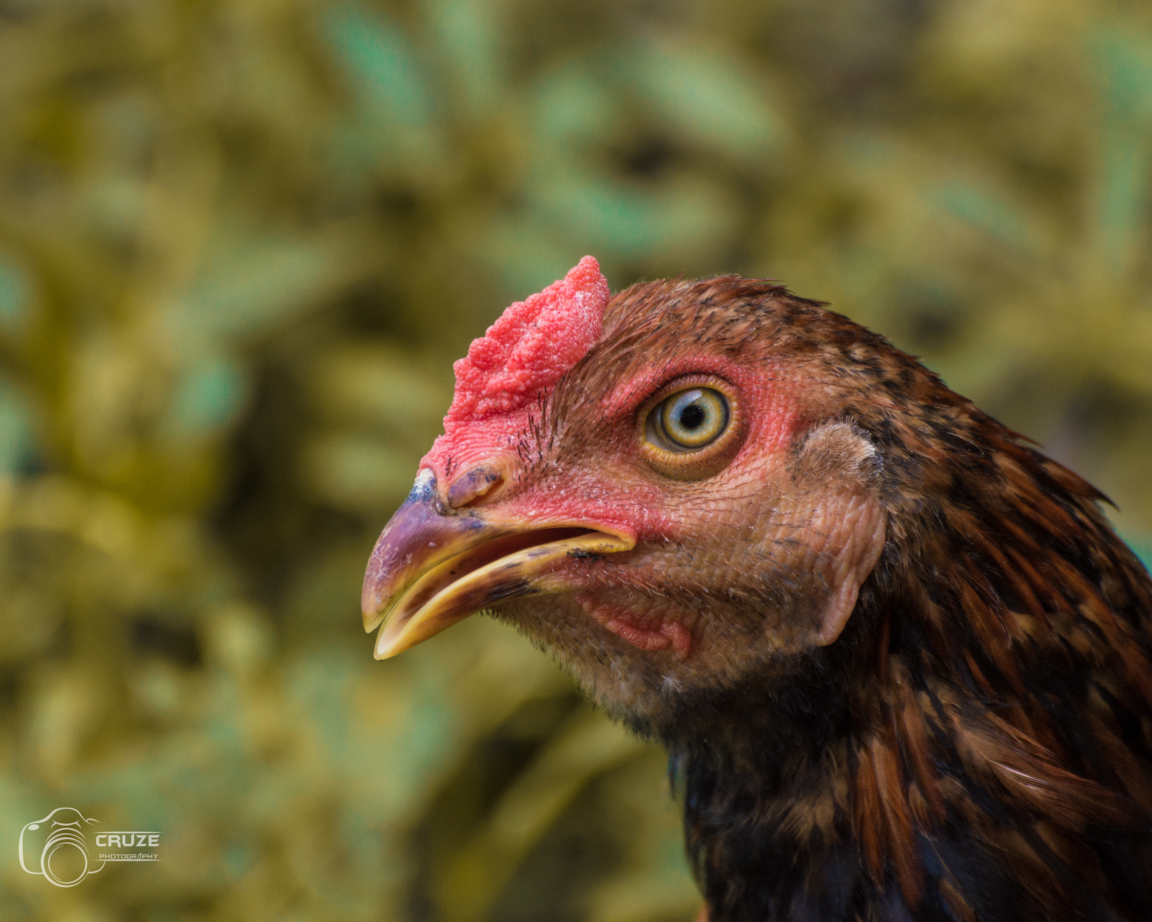 2021 Nikon D3200 Shot
