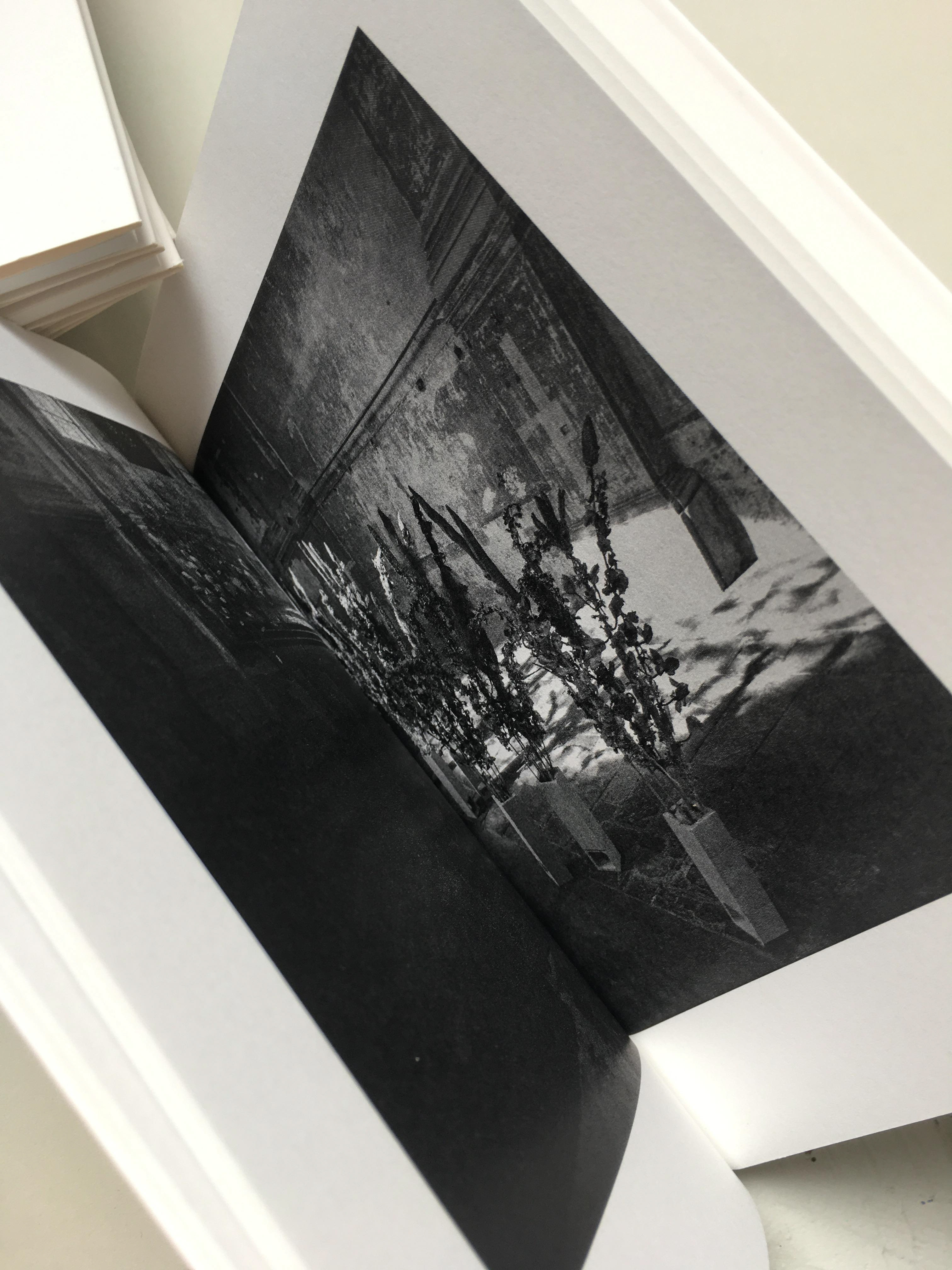 Recueil Les plus beaux jours, End éditions. Vue de Fleurs bleues et Fleurs de chairs