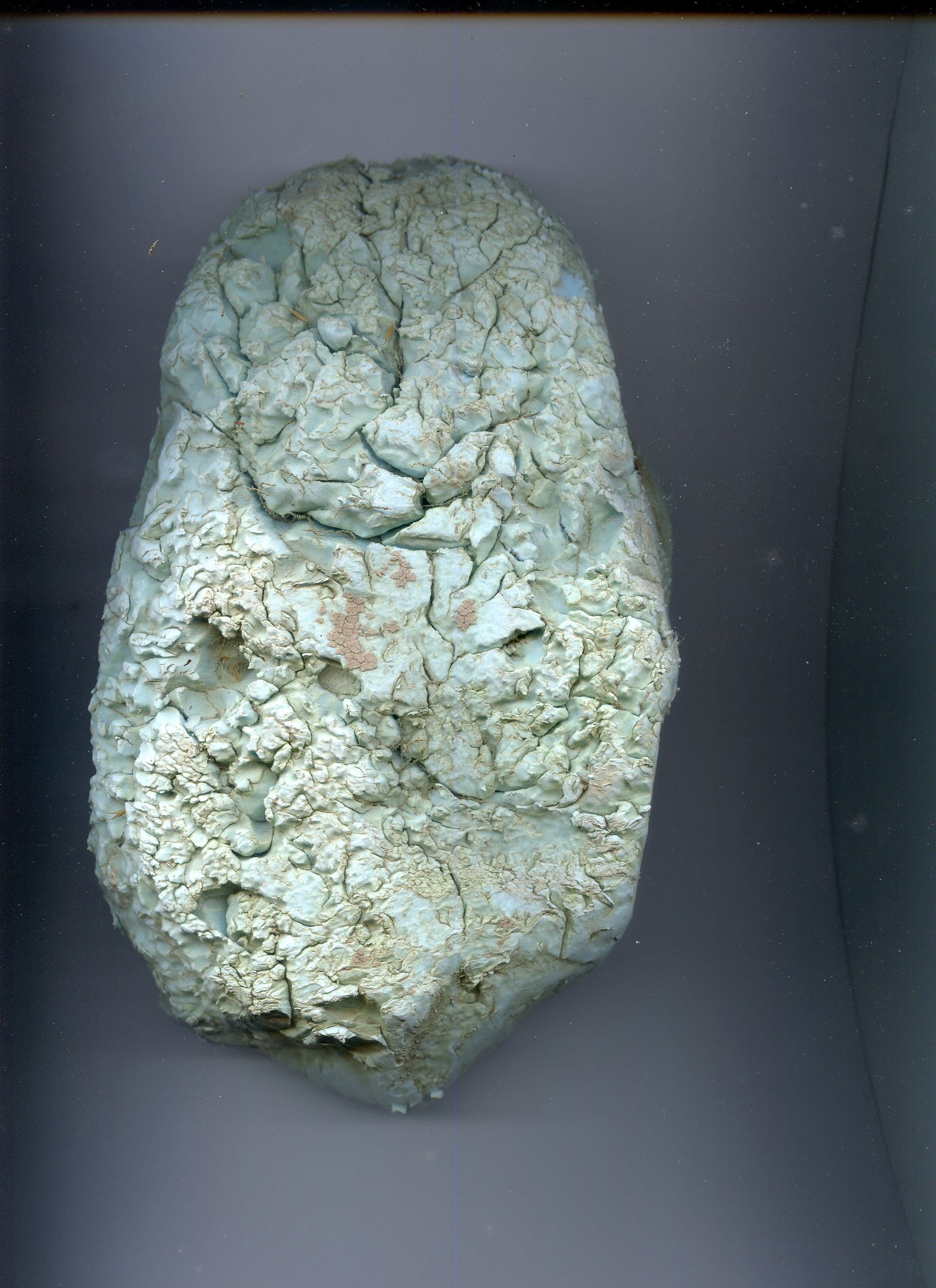 La forme et les teintes de la coque ont l'allure de coulées chromatiques issues de résidus