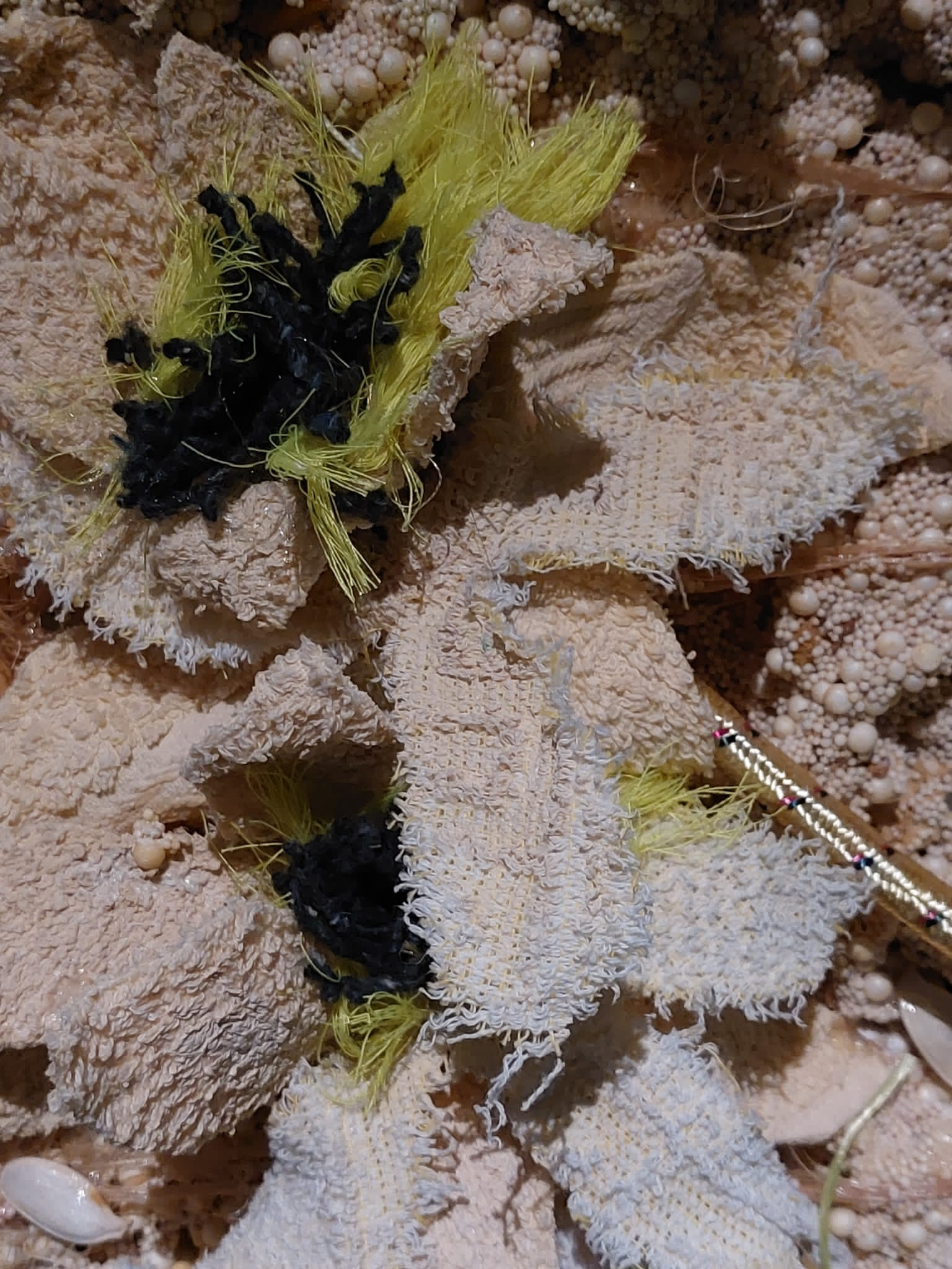 Matières composites : fibres végétales, cartouches de markeurs, sweats-shirts, graines, vinyle, polymères, cotons, nylons, acier, acryliques, pigments naturels, etc