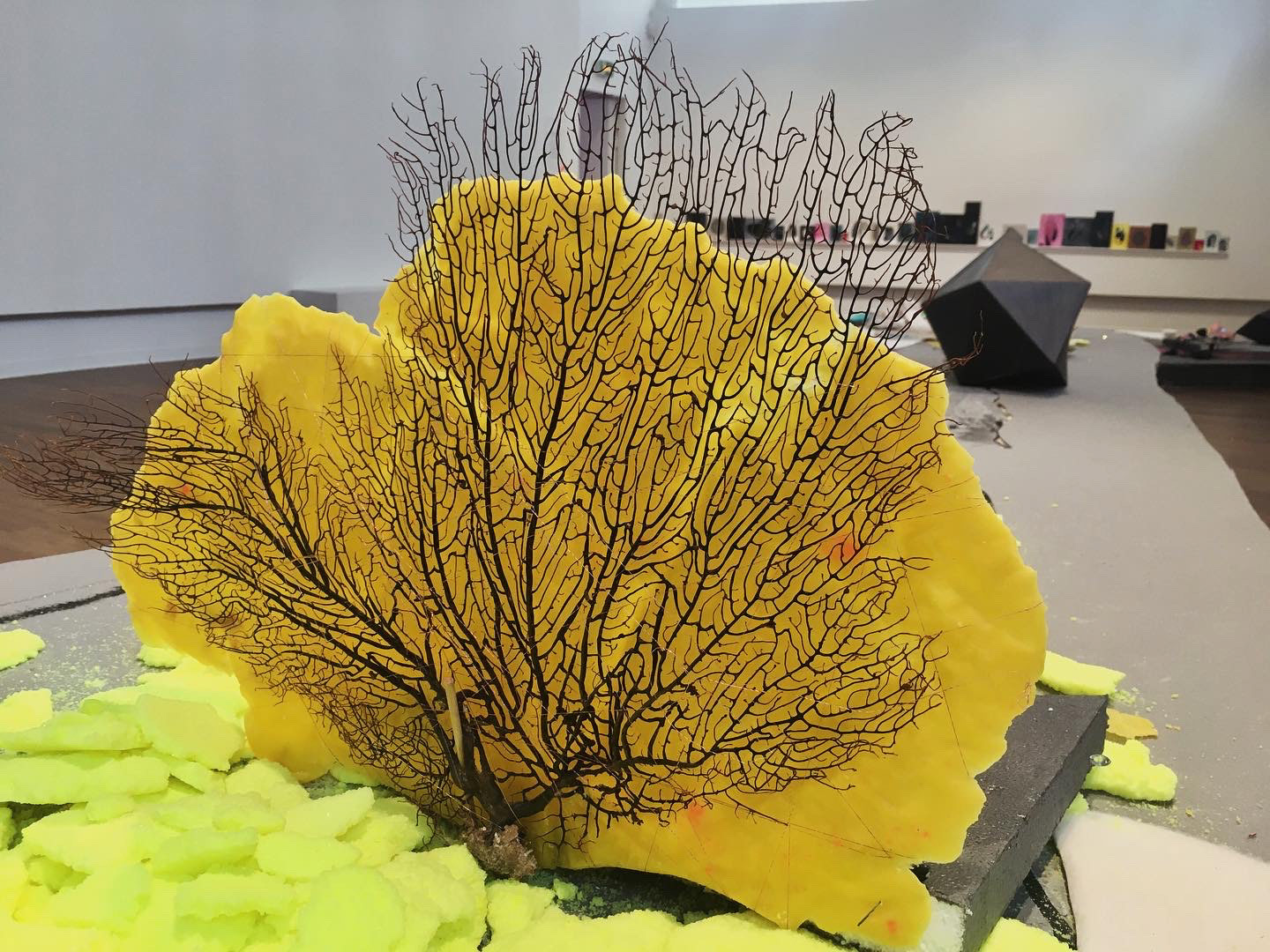 Détail de l’exppsition collective Ile flottante qui s’est déroulée au Carré de Baudoin. Le Labo en collaboration avec les artistes Ema Seneze et Aurore Pallet